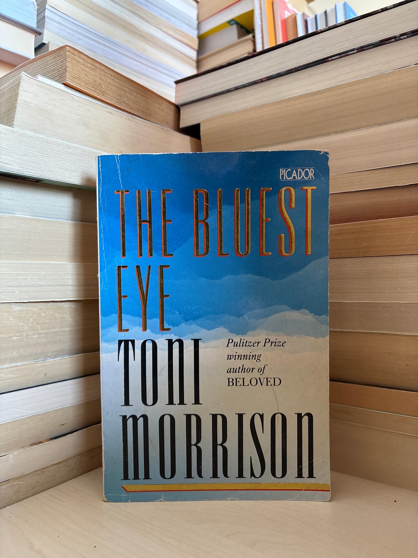 Toni Morrison - The Bluest Eye