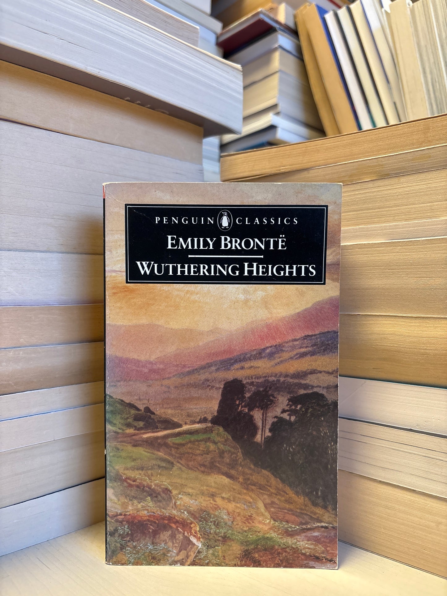 Emily Bronte - Wuthering Heights