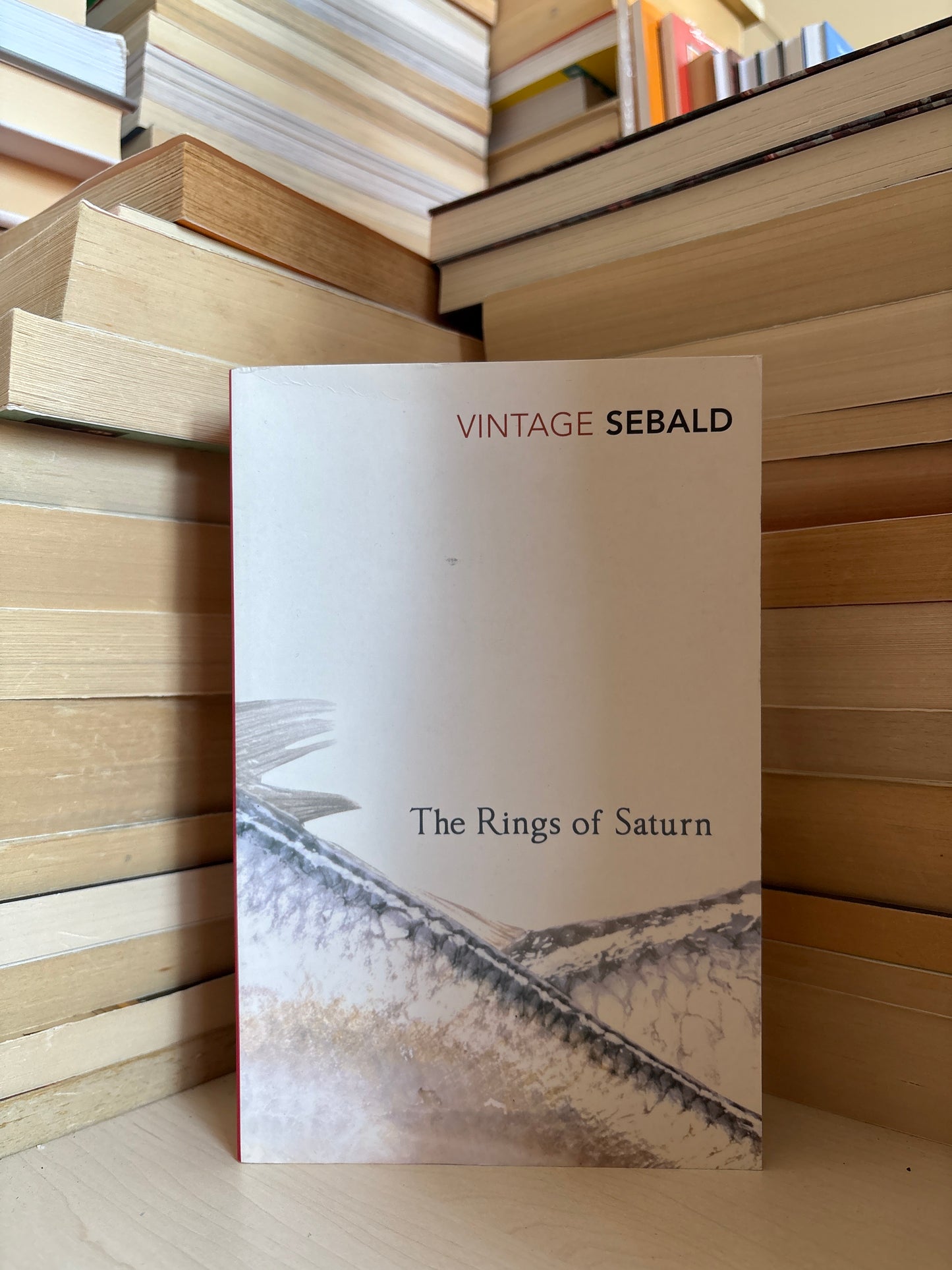 W. G. Sebald - The Rings of Saturn