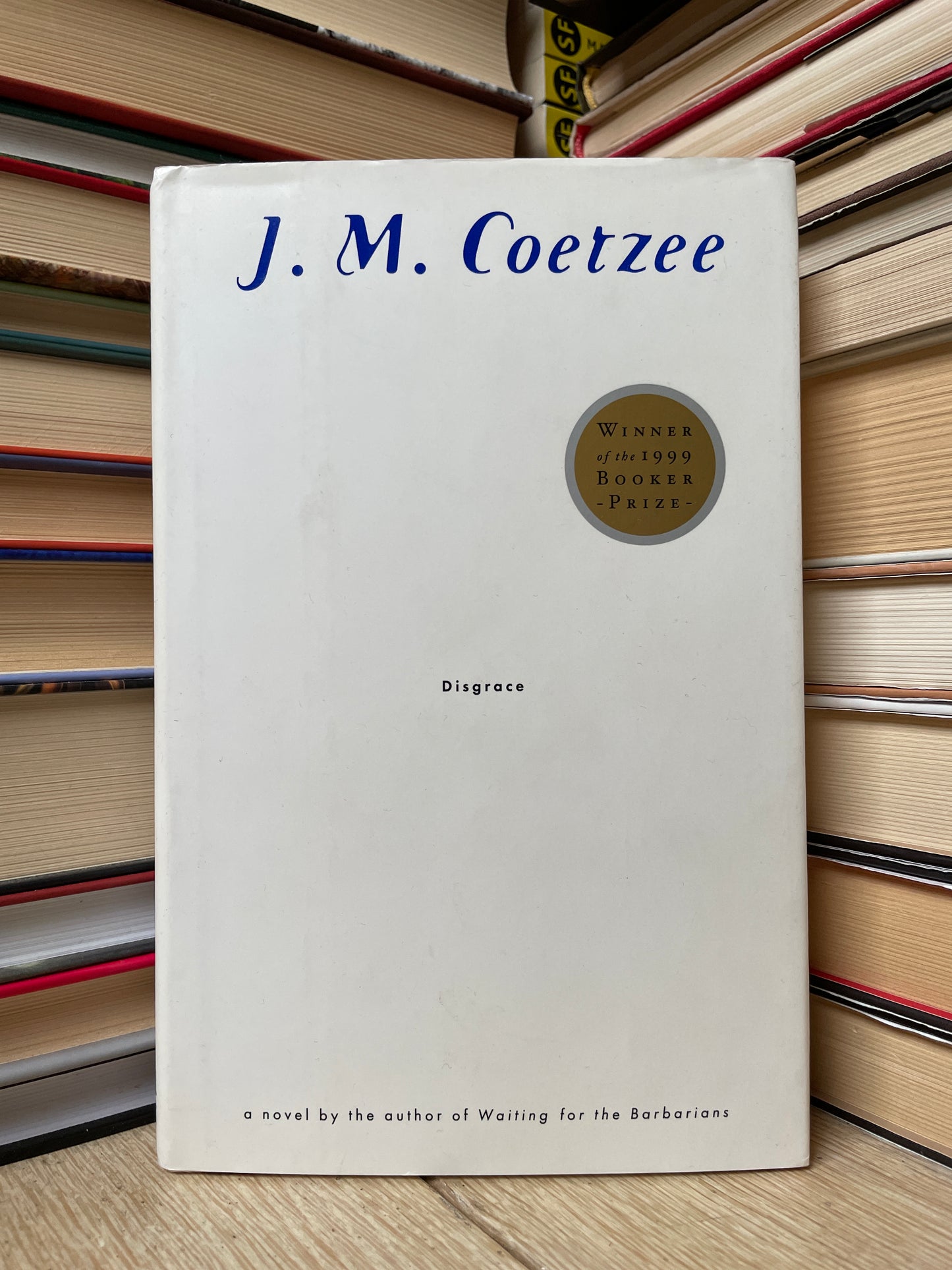 J. M. Coetzee - Disgrace