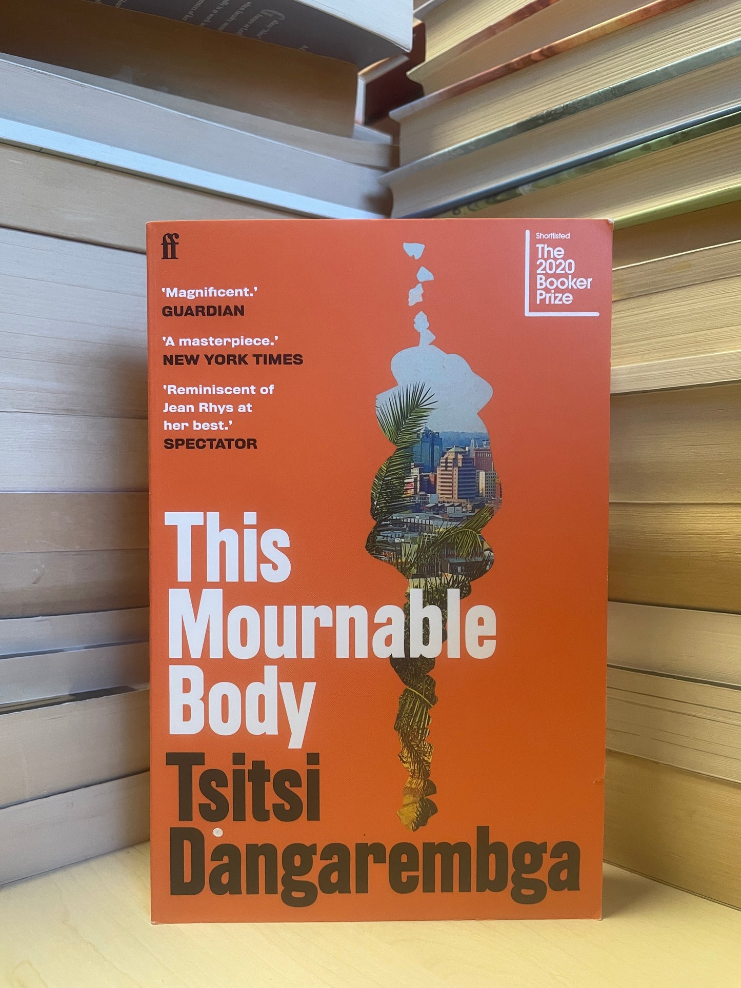 Tsitsi Dangarembga - This Mournable Body