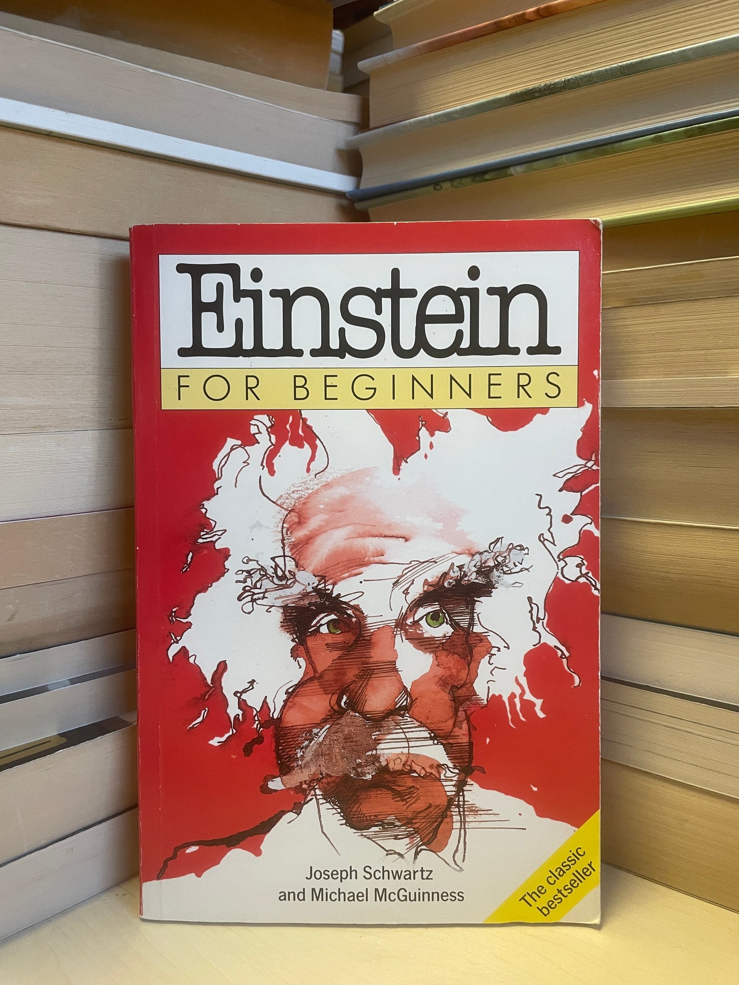 Joseph Schwartz, Michael McGuinness - Einstein for Beginners