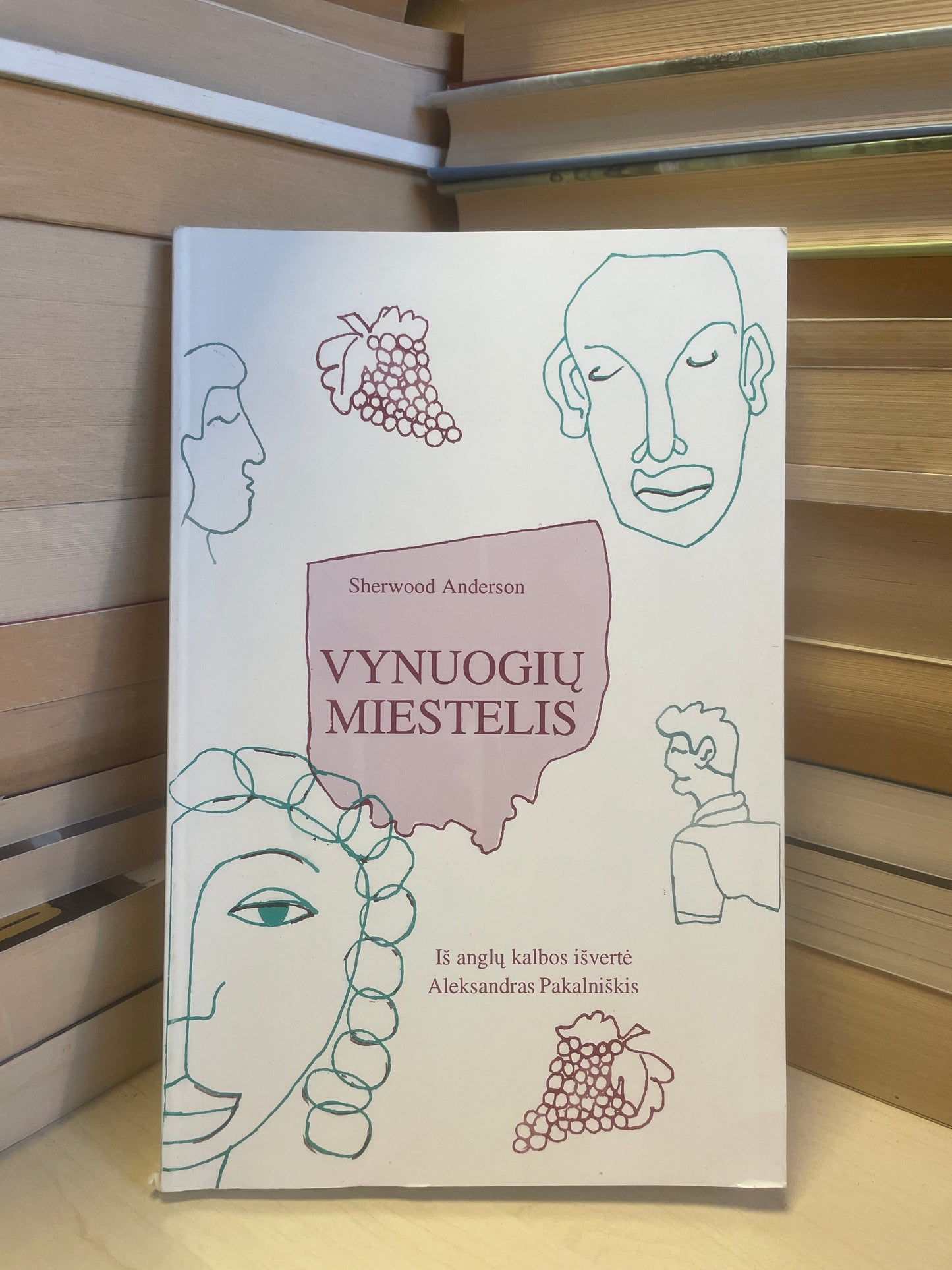 Sherwood Anderson - ,,Vynuogių miestelis"