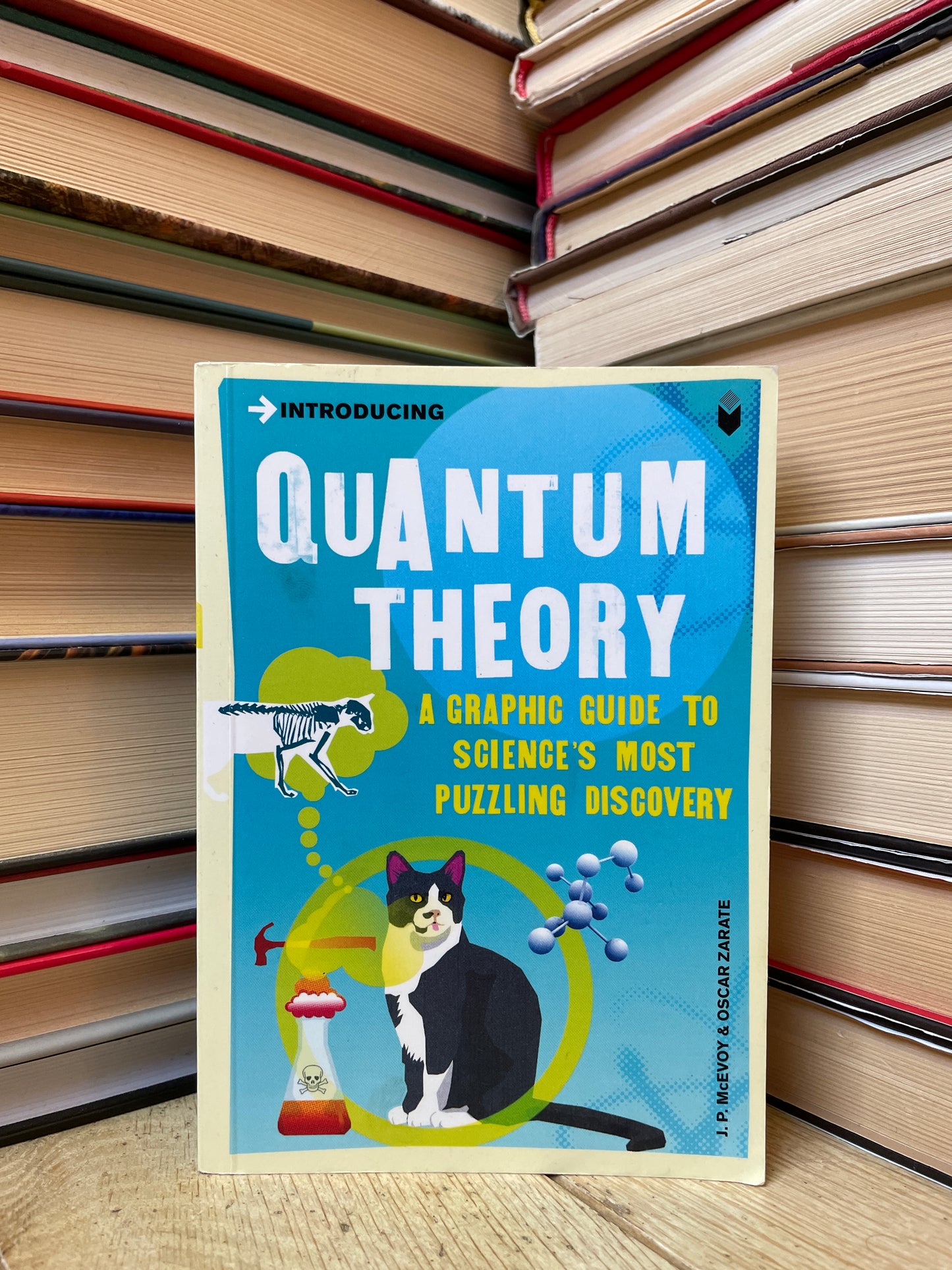 J. P. McEvoy, Oscar Zarate - Introducing Quantum Theory