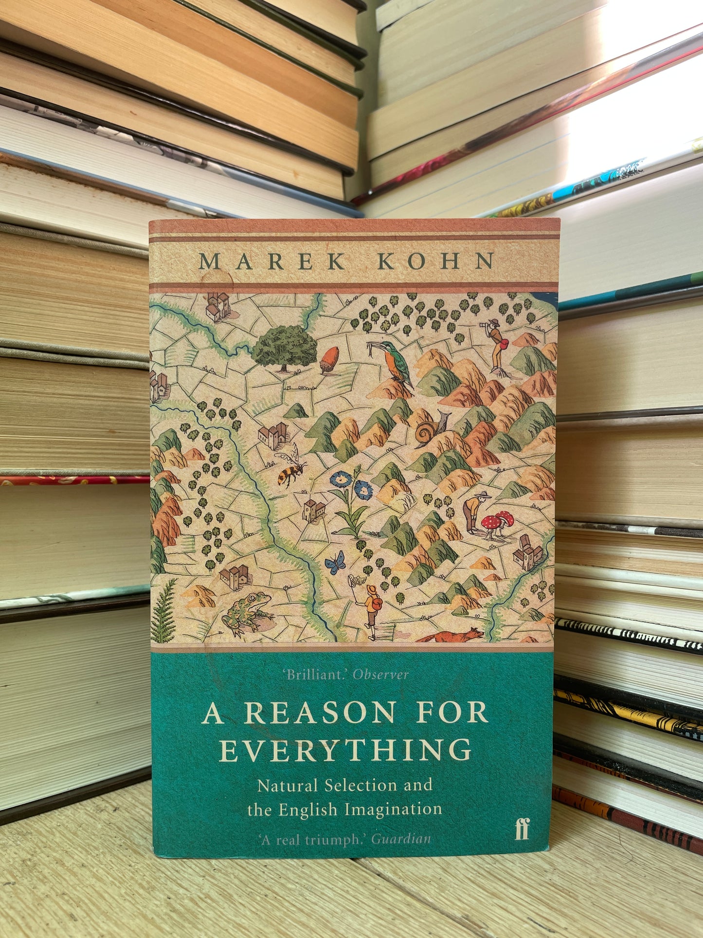 Marek Kohn - A Reason for Everything