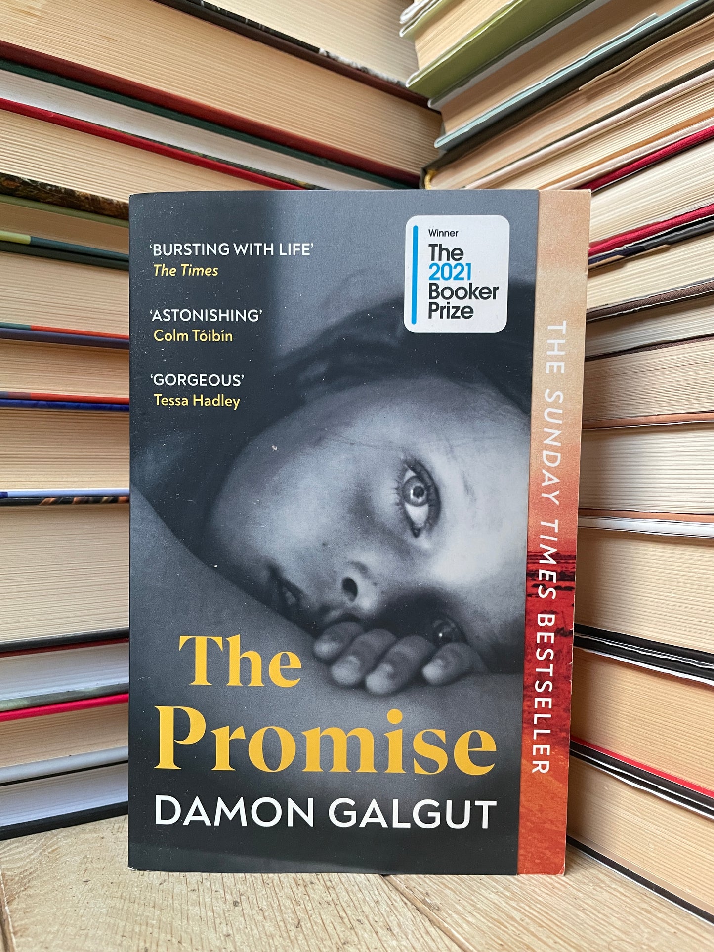 Damon Galgut - The Promise