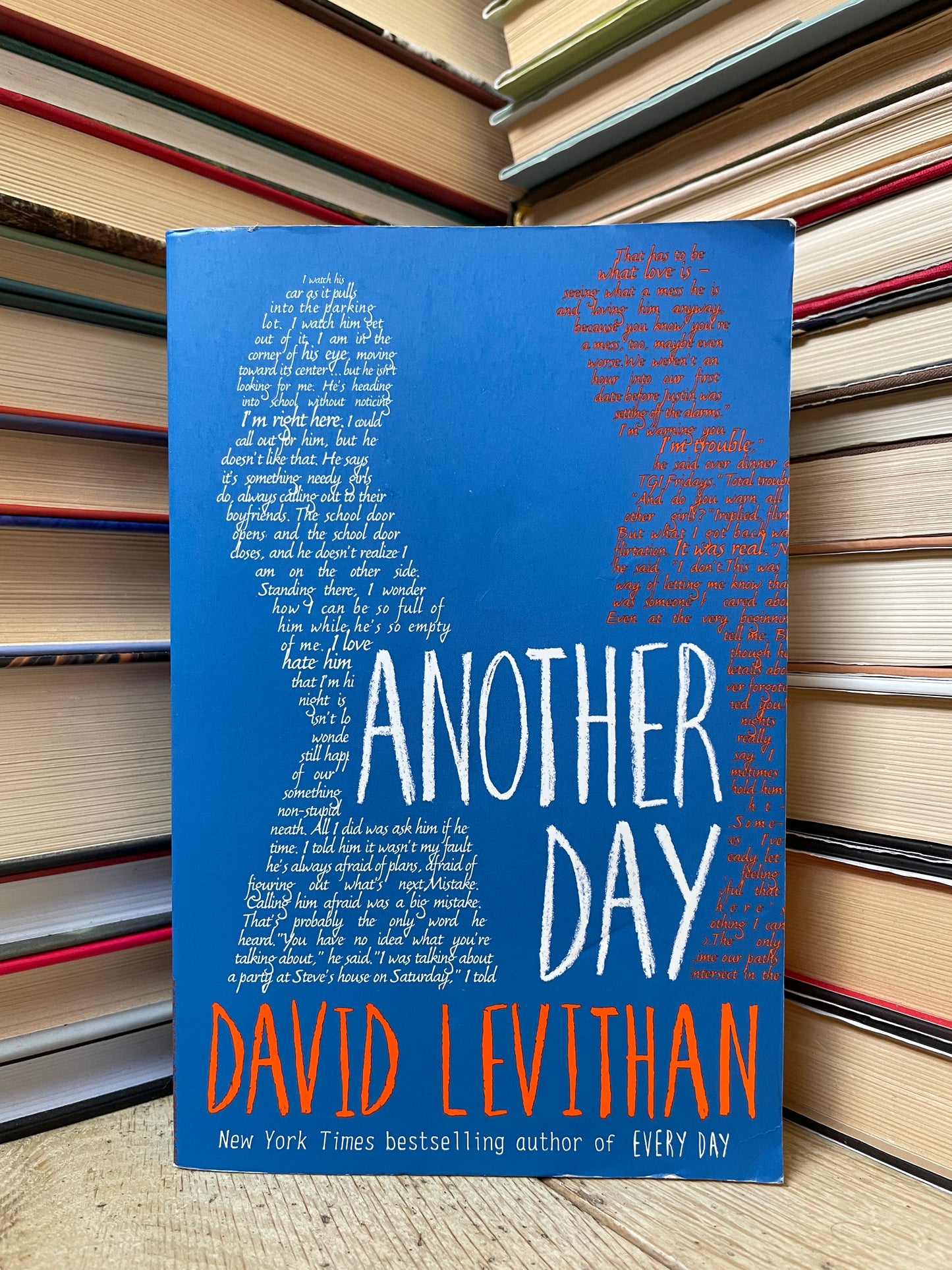 David Levithan - Another Day