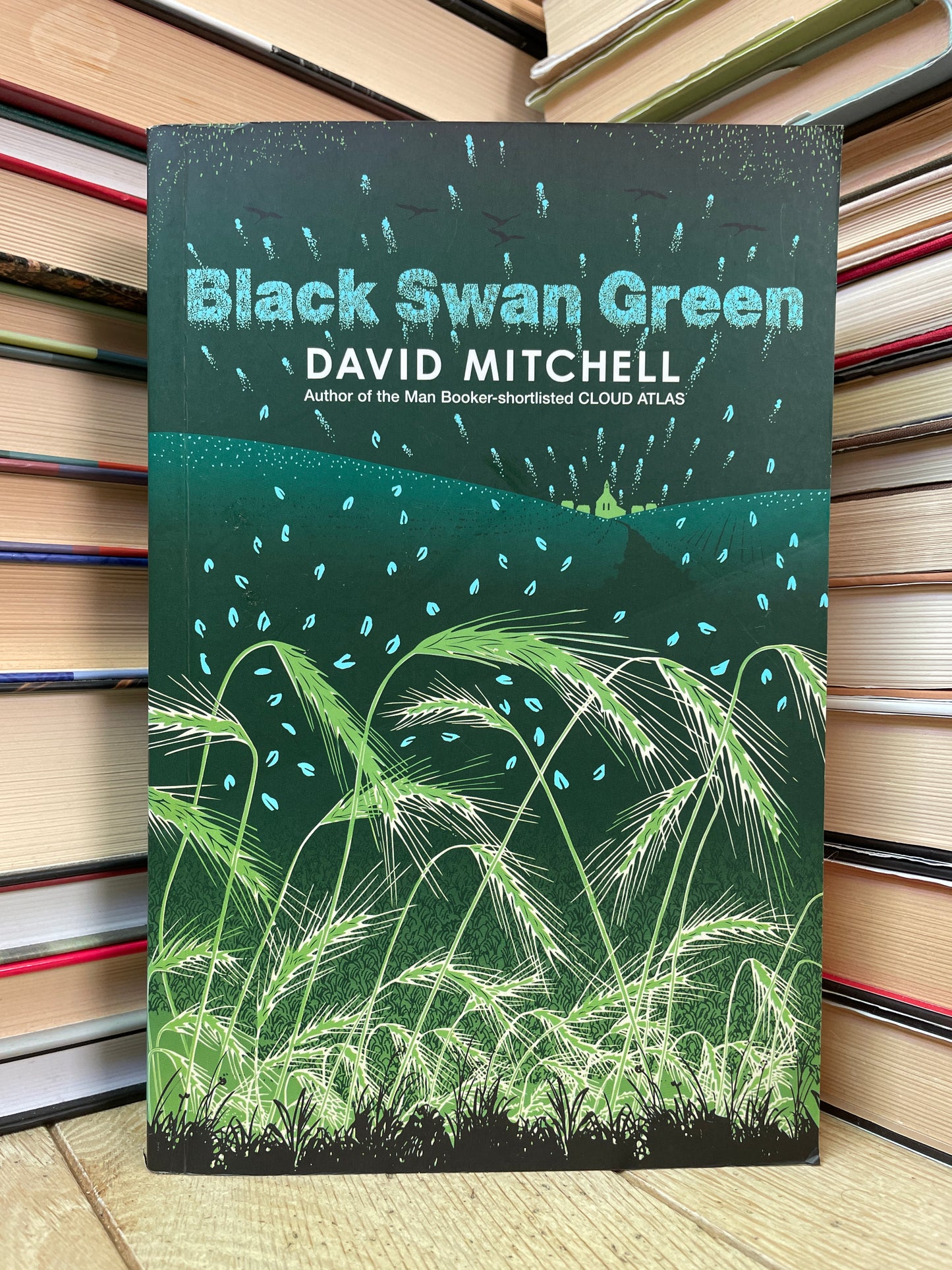 David Mitchell - Black Swan Green