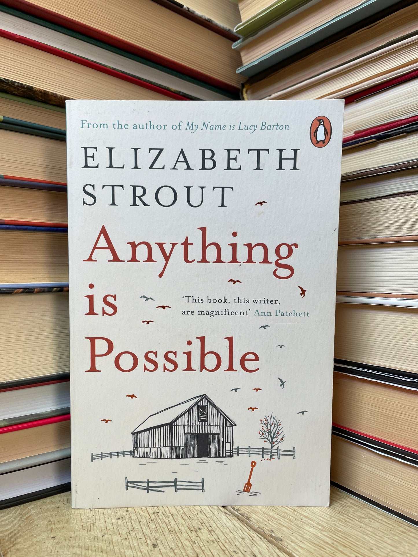 Elizabeth Strout - Anything is Possible