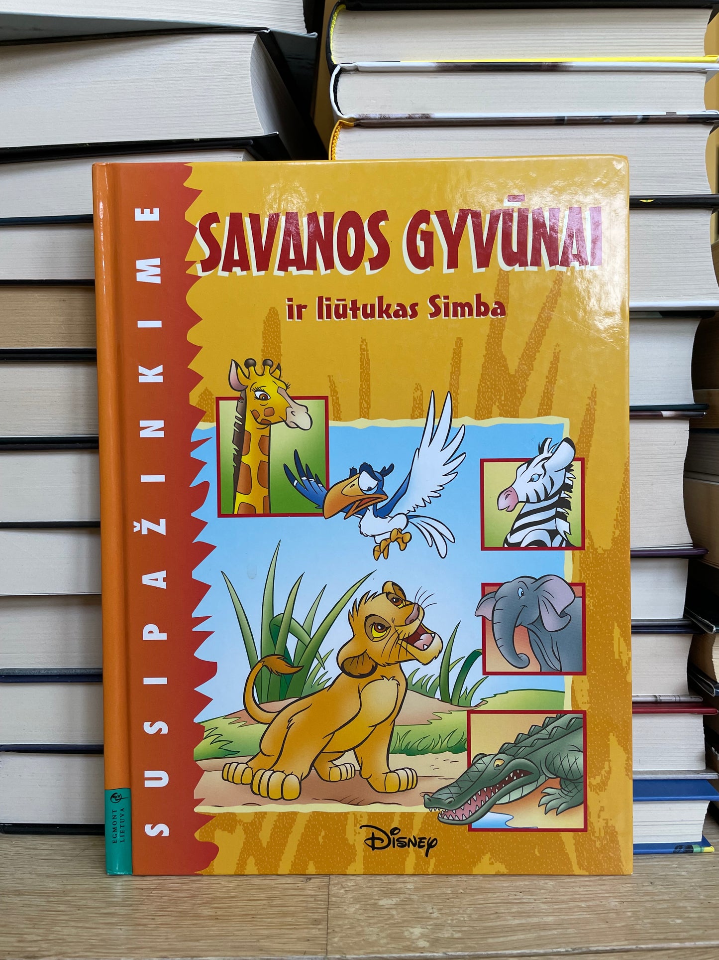 Disney - ,,Savanos gyvūnai ir liūtukas Simba"