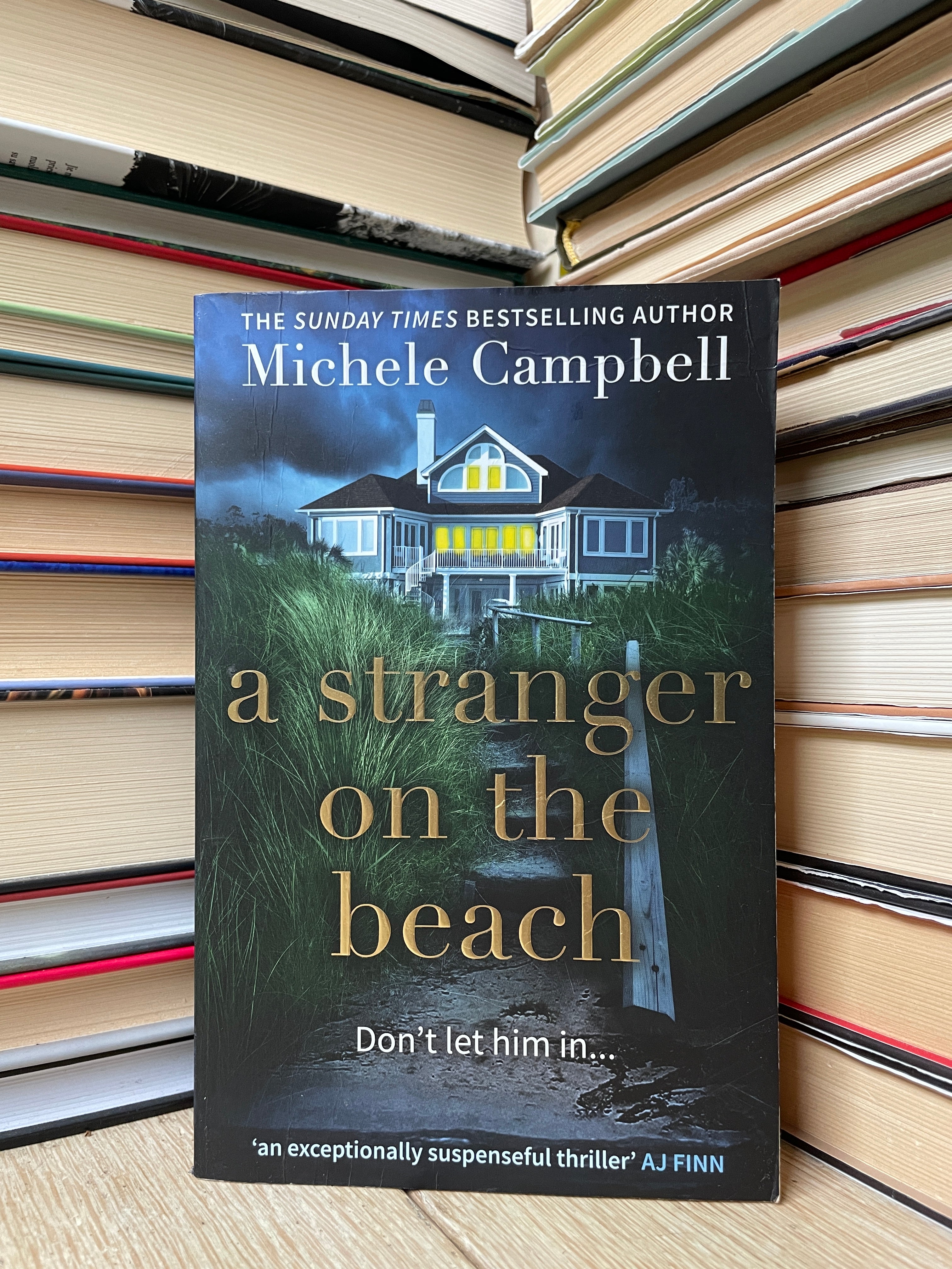 Michele Campbell A Stranger on the Beach LIBRIS