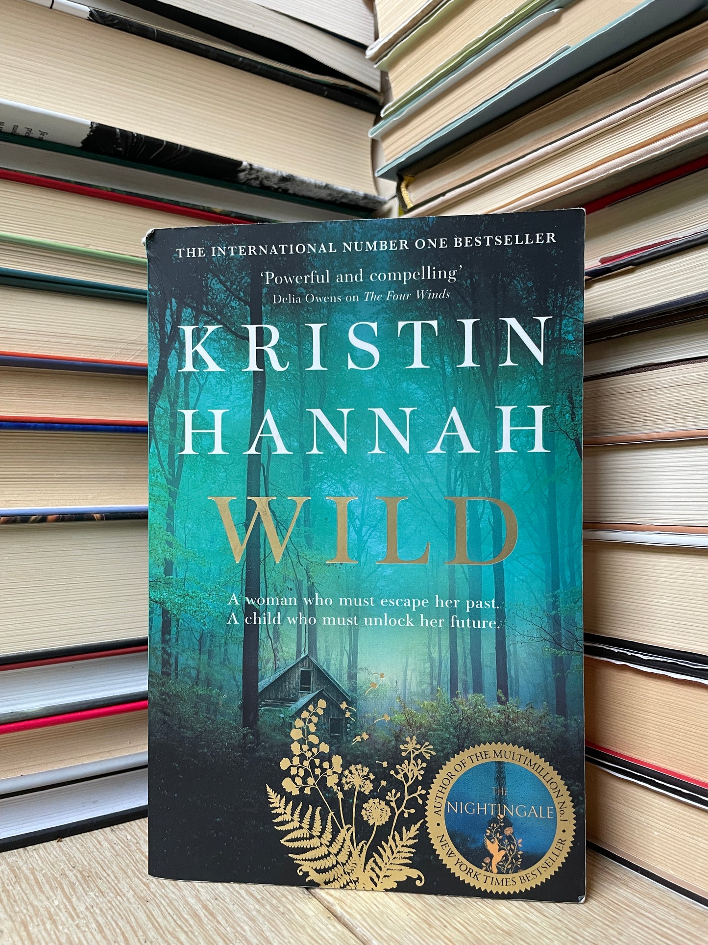 Kristin Hannah - Wild