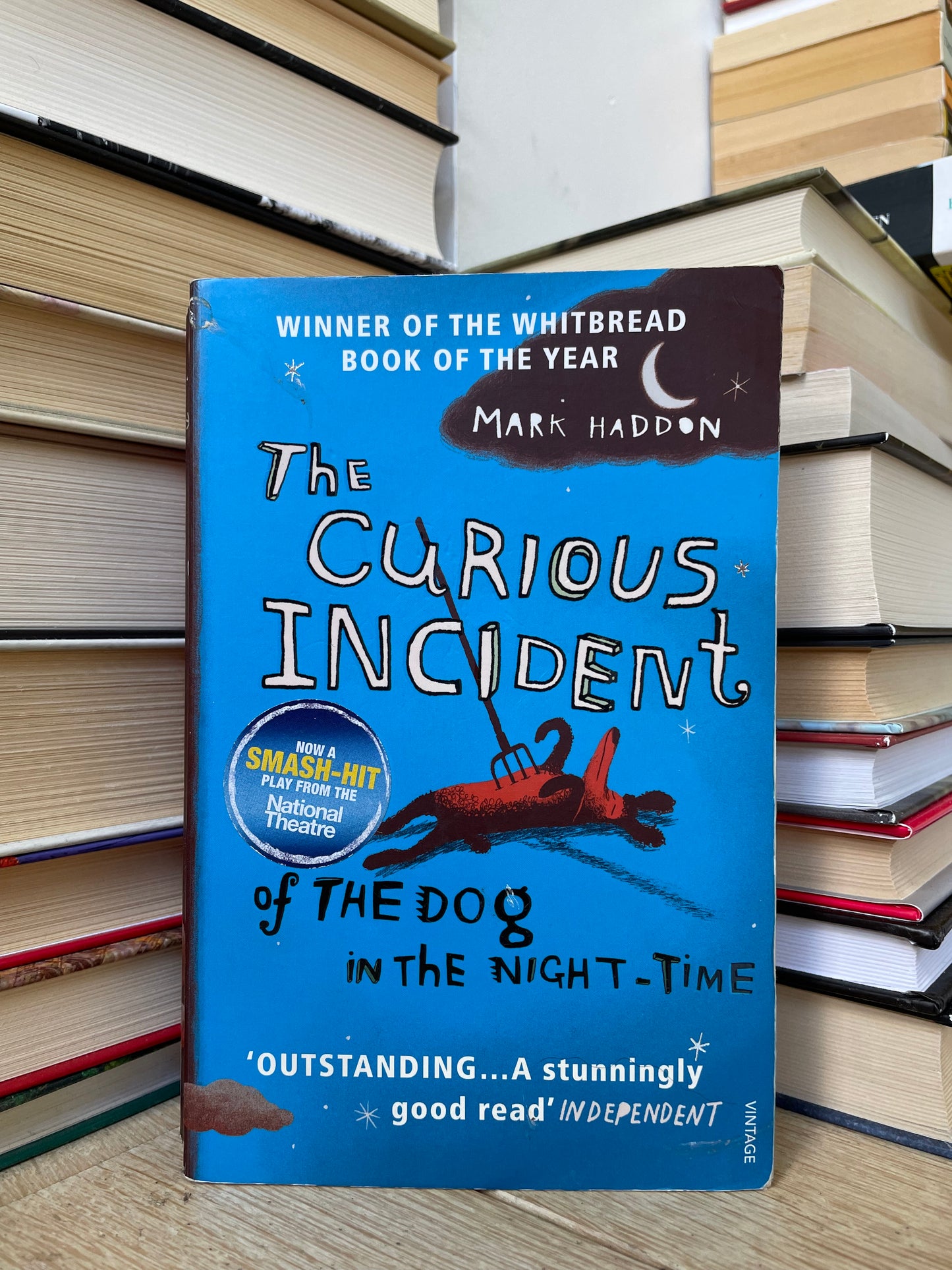 Mark Haddon - The Curious Incident of the Dog in the Night-Time