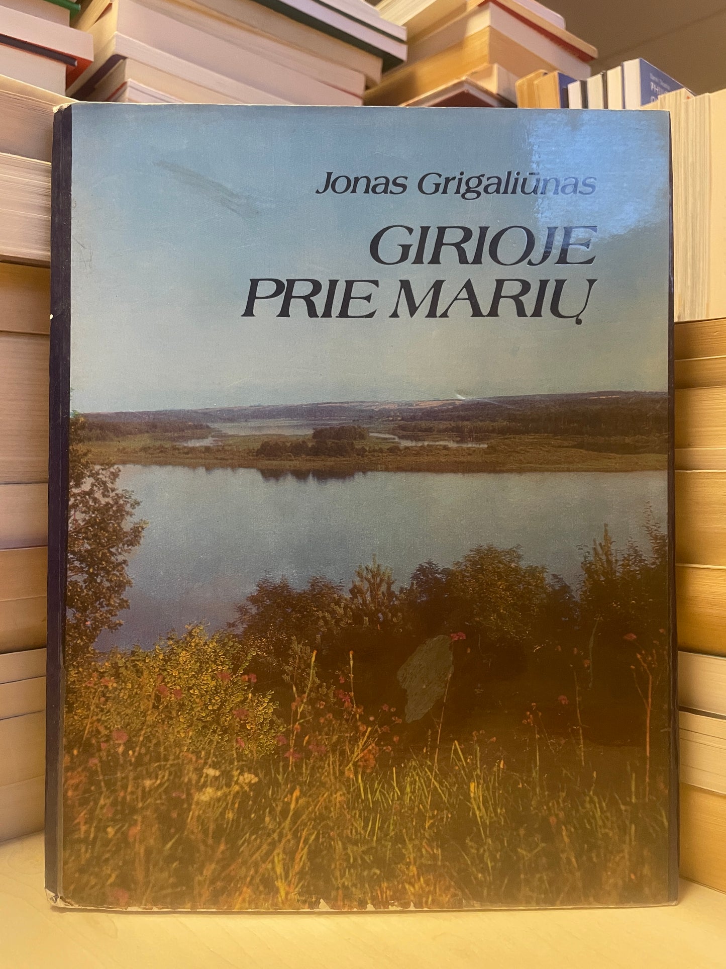 Jonas Grigaliūnas - ,,Girioje prie marių"