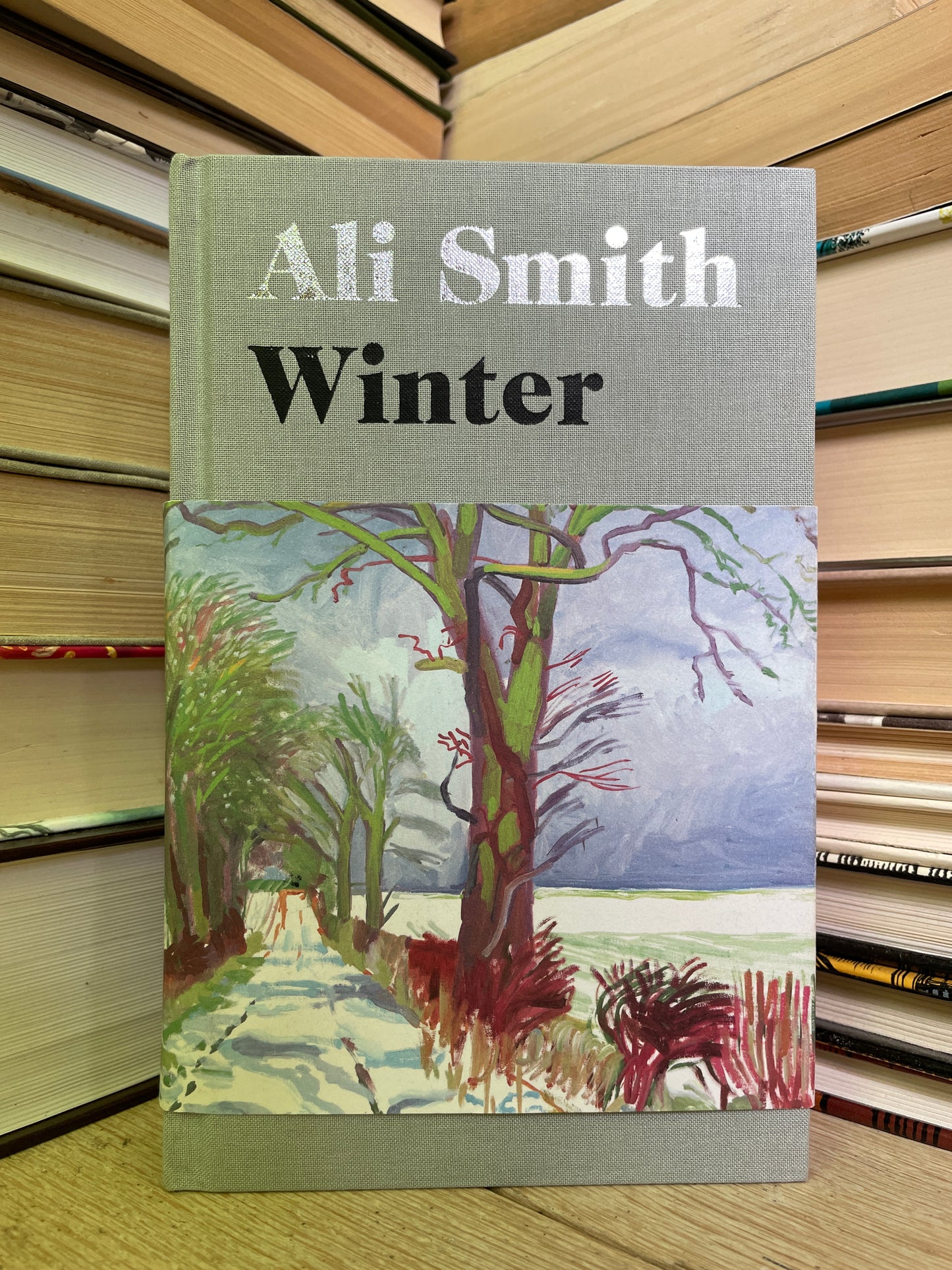 Ali Smith - Winter