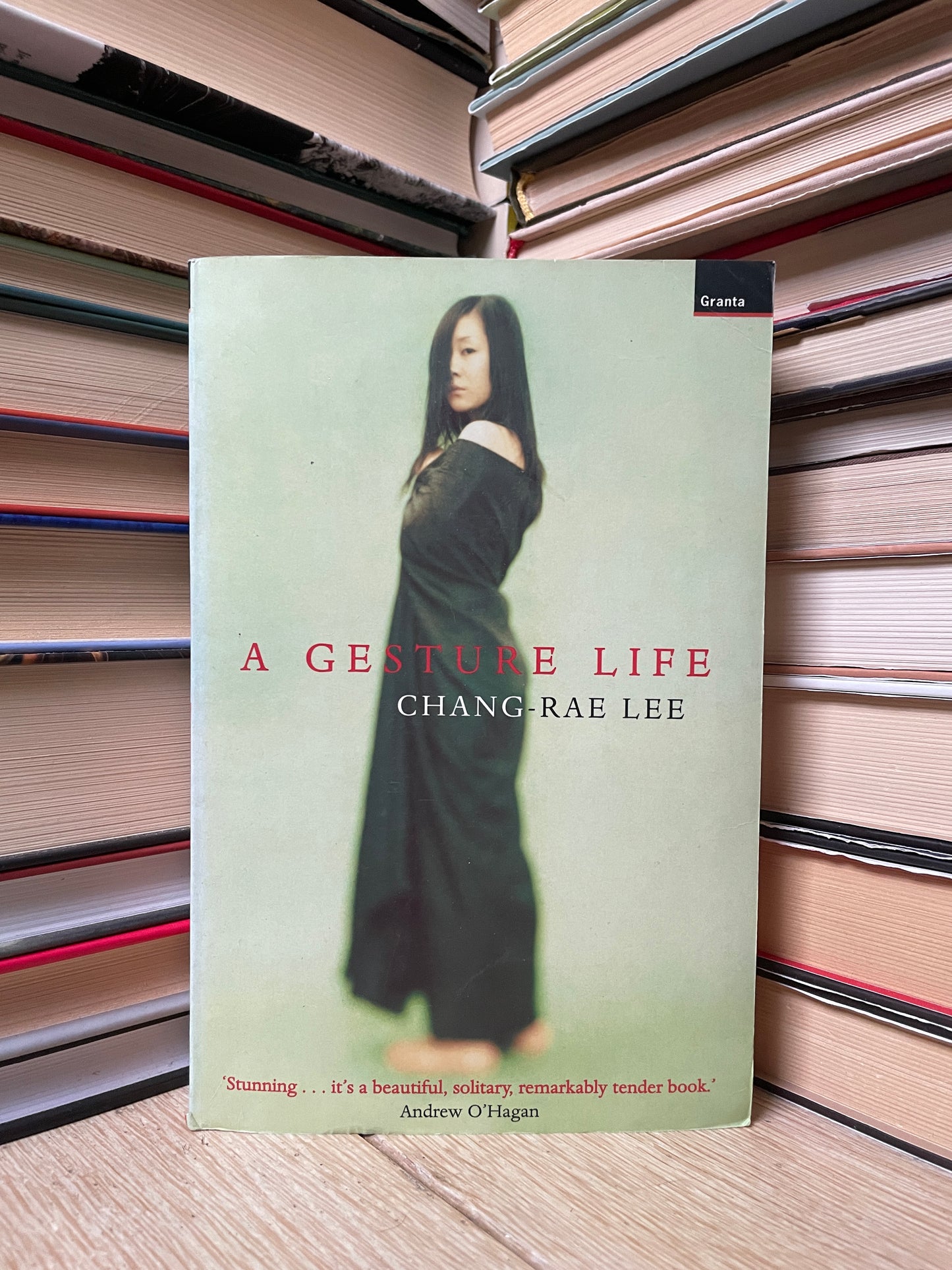 Chang-Rae Lee - A Gesture Life