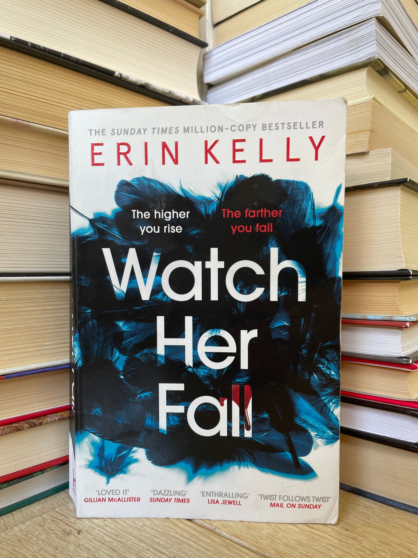 Erin Kelly - Watch Her Fall