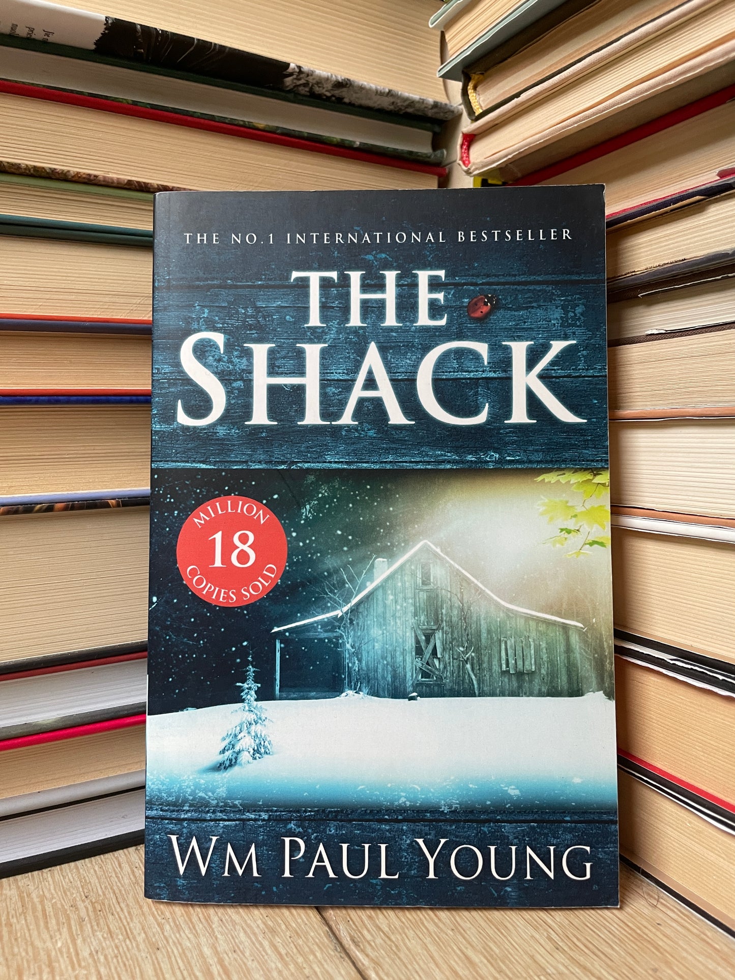 Wm Paul Young - The Shack