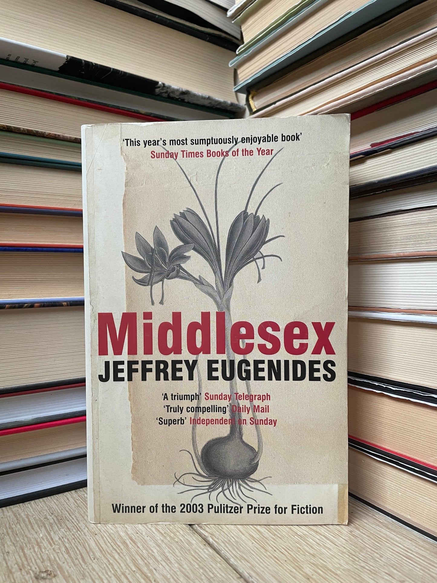 Jeffrey Eugenides - Middlesex