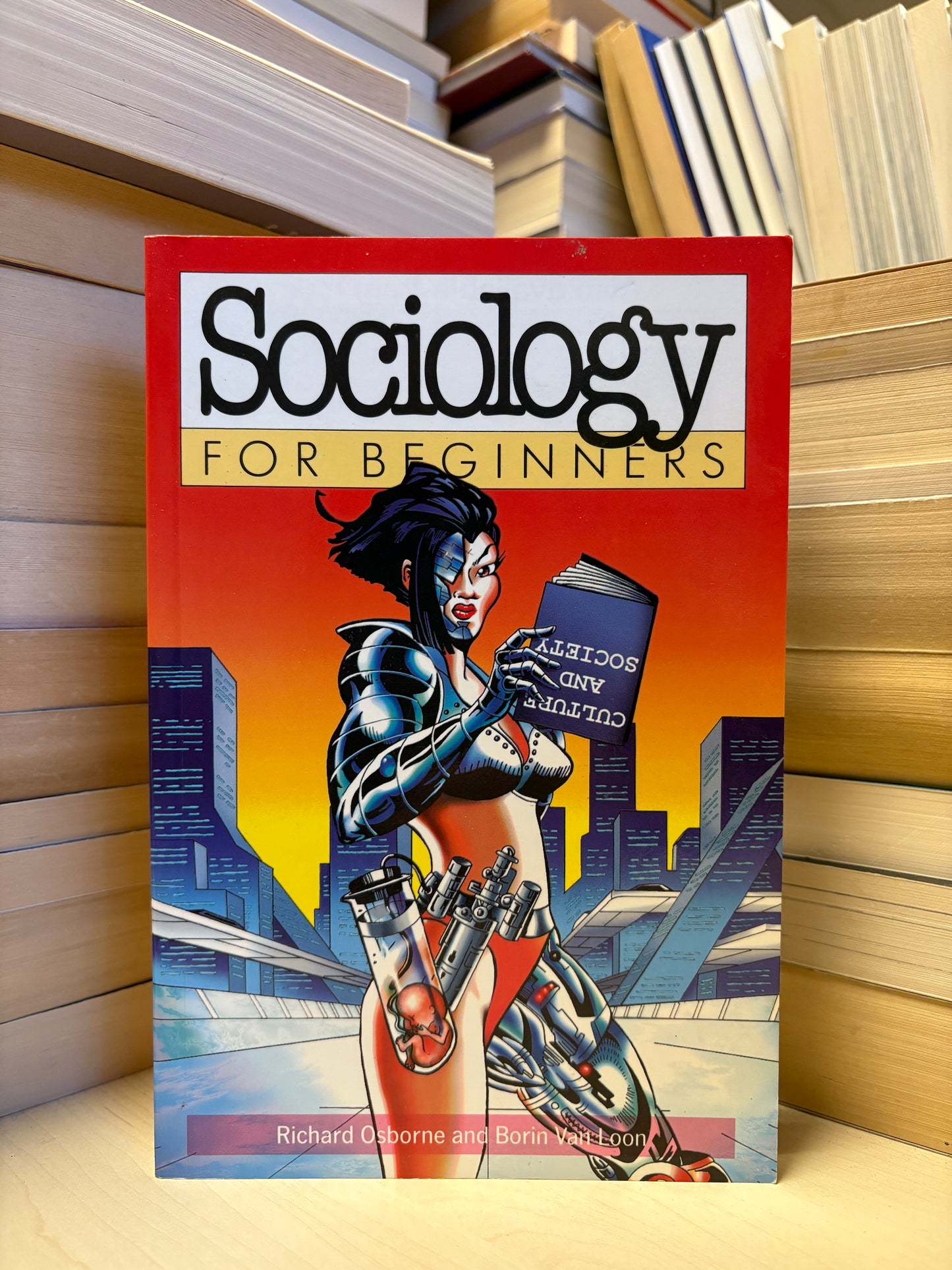 Richard Osborne, Borin Van Loon - Sociology for Beginners