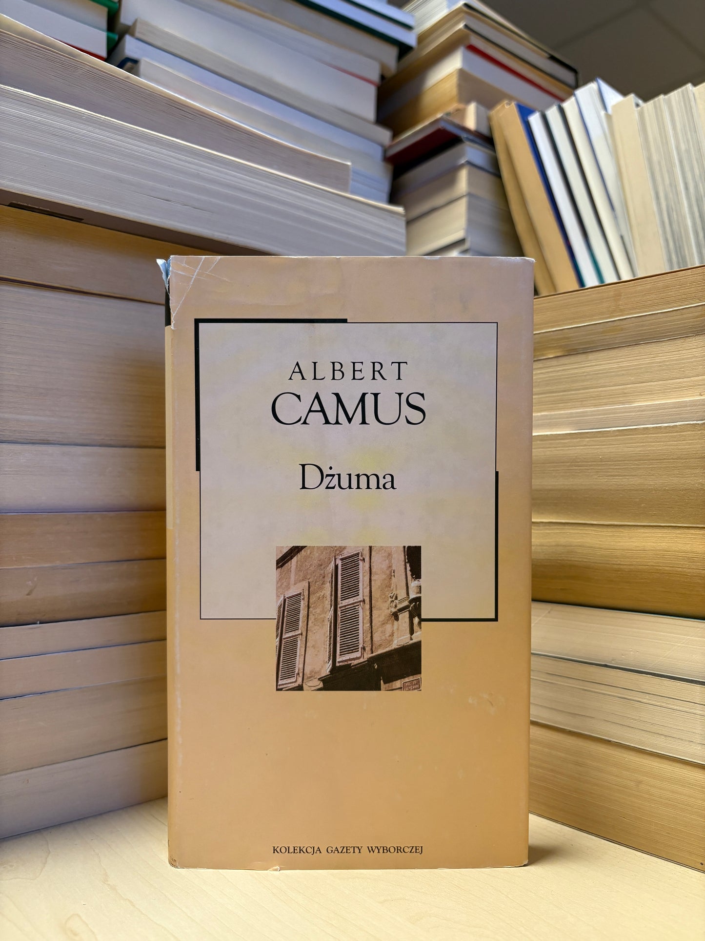 Albert Camus - Dzuma (lenkų)