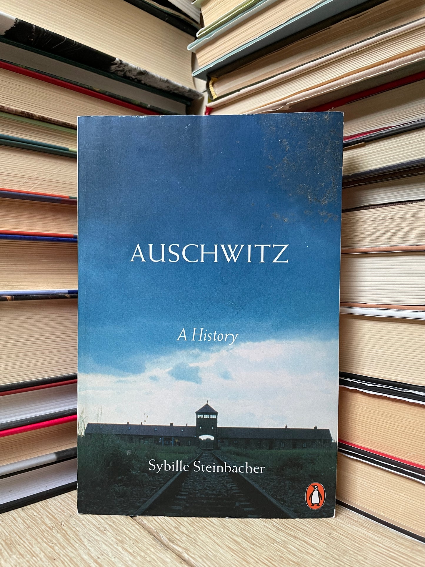 Sybille Steinbacher - Auschwitz: A History