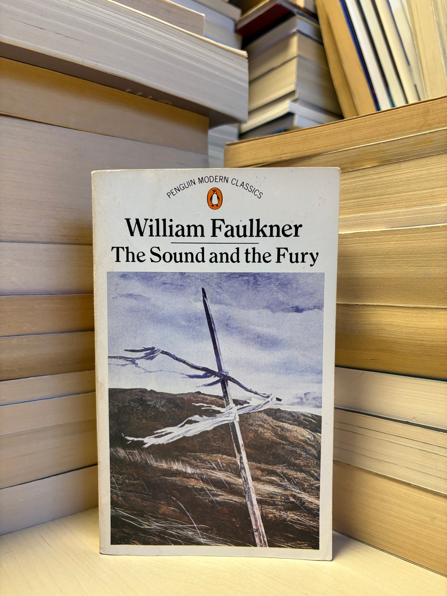 William Faulkner - The Sound and the Fury