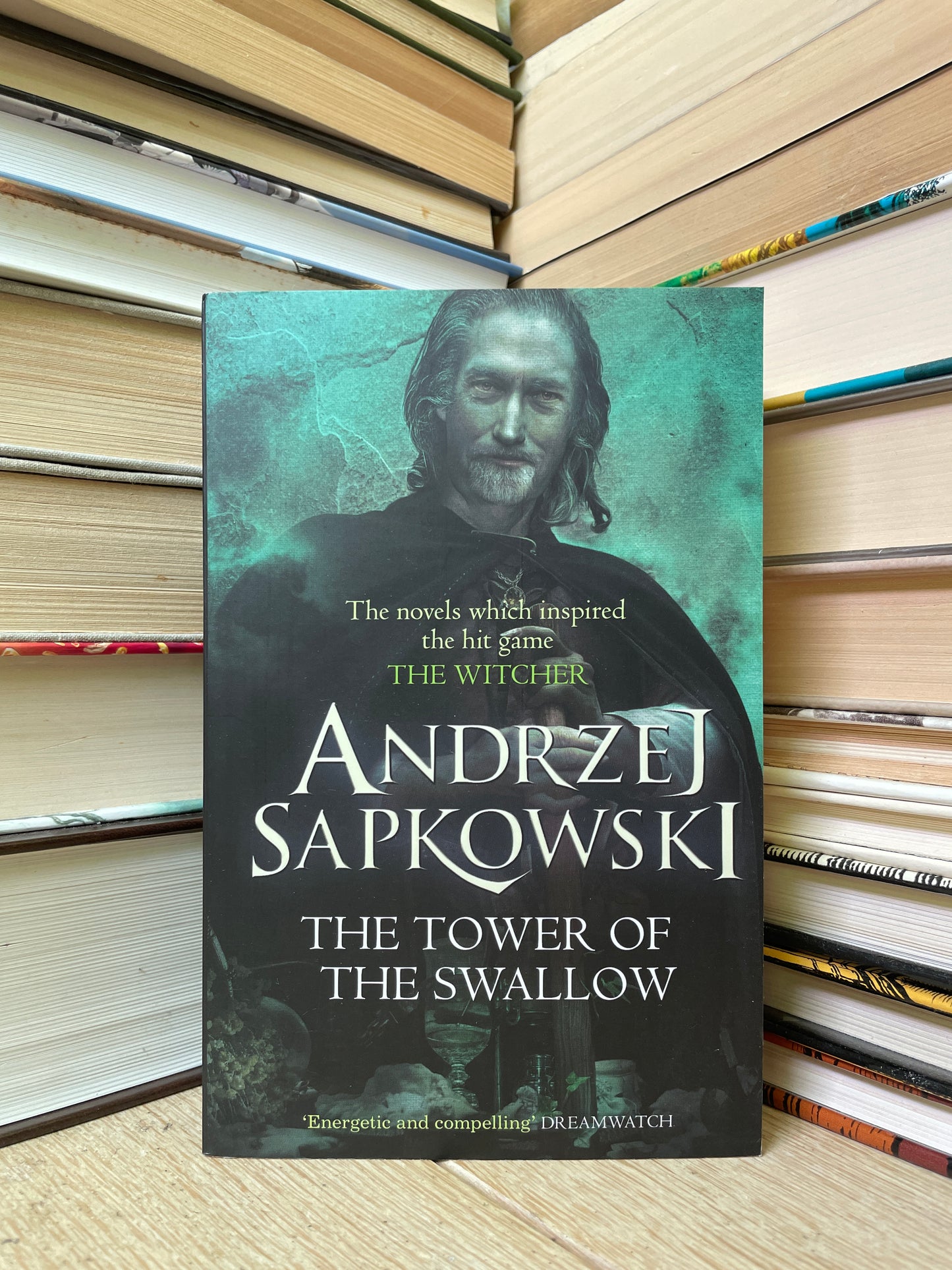 Andrzej Sapkowski - The Tower of the Swallow