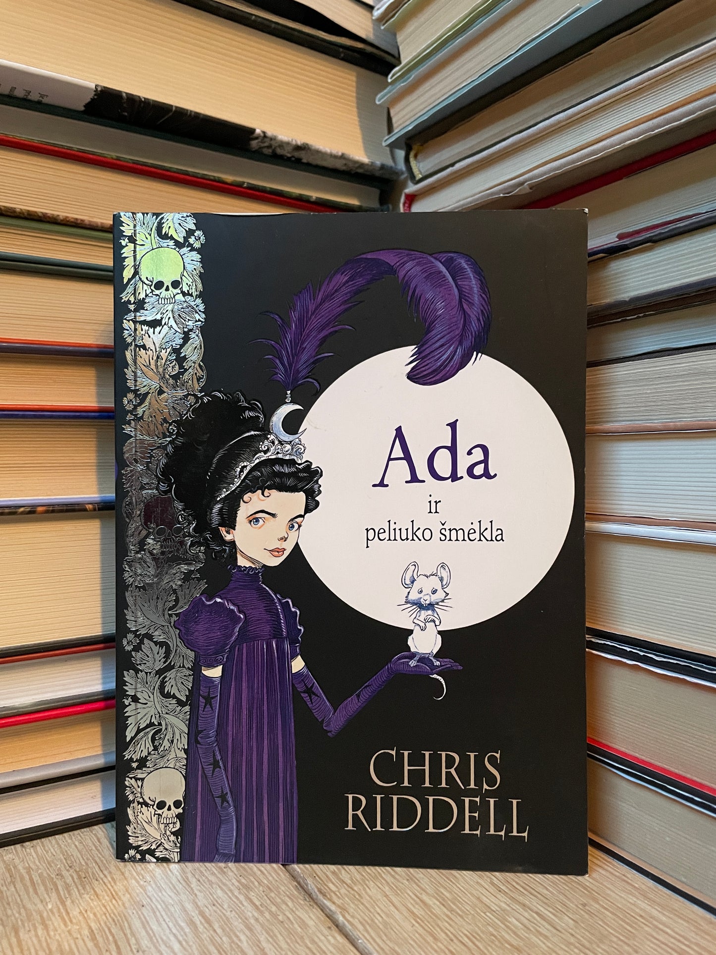 Chris Riddell - ,,Ada ir peliuko šmėkla"