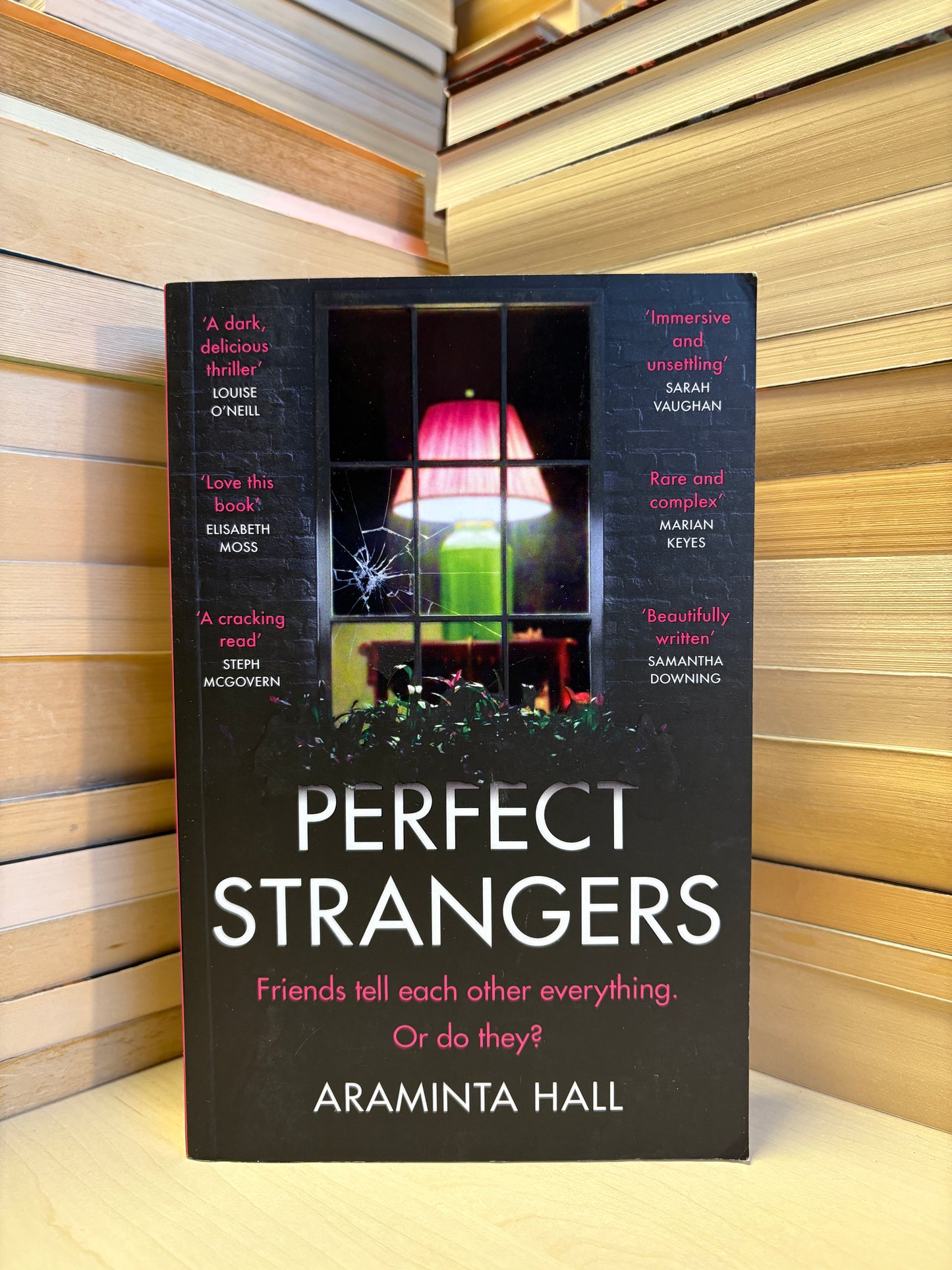 Araminta Hall - Perfect Strangers