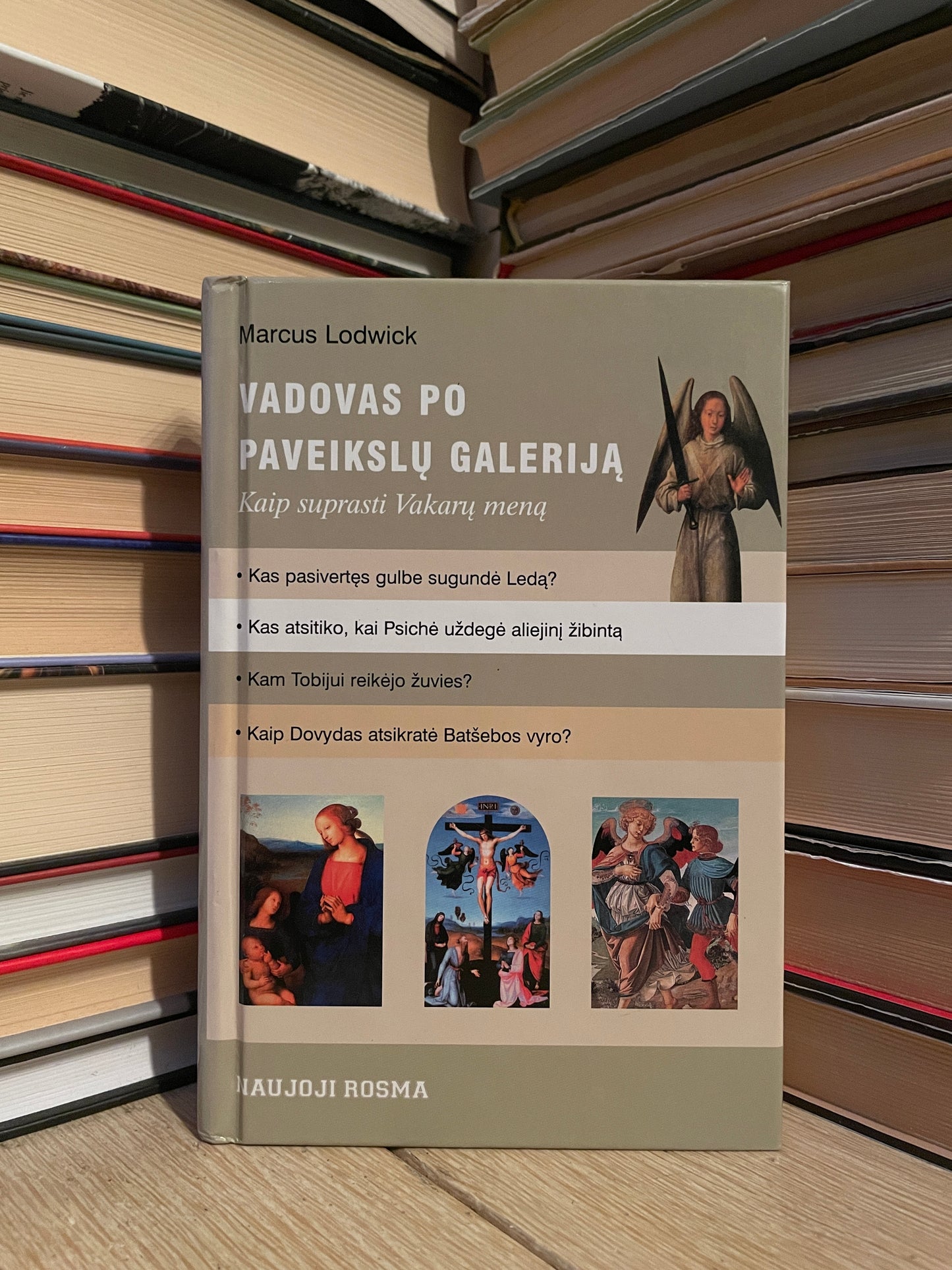 Marcus Lodwick - ,,Vadovas po paveikslų galeriją"