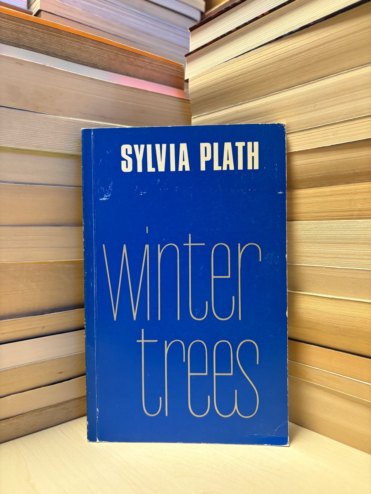 Sylvia Plath - Winter Trees