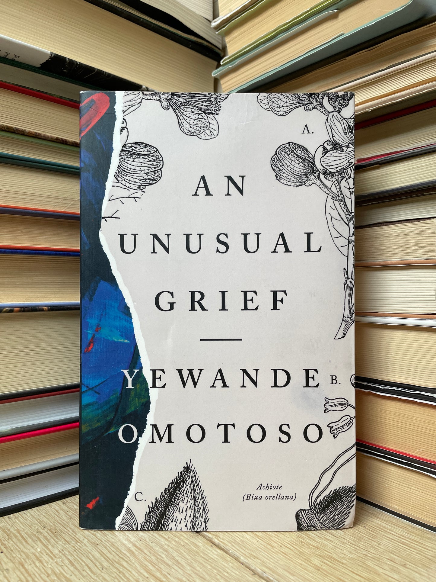 Yewande Omotoso - An Unusual Grief