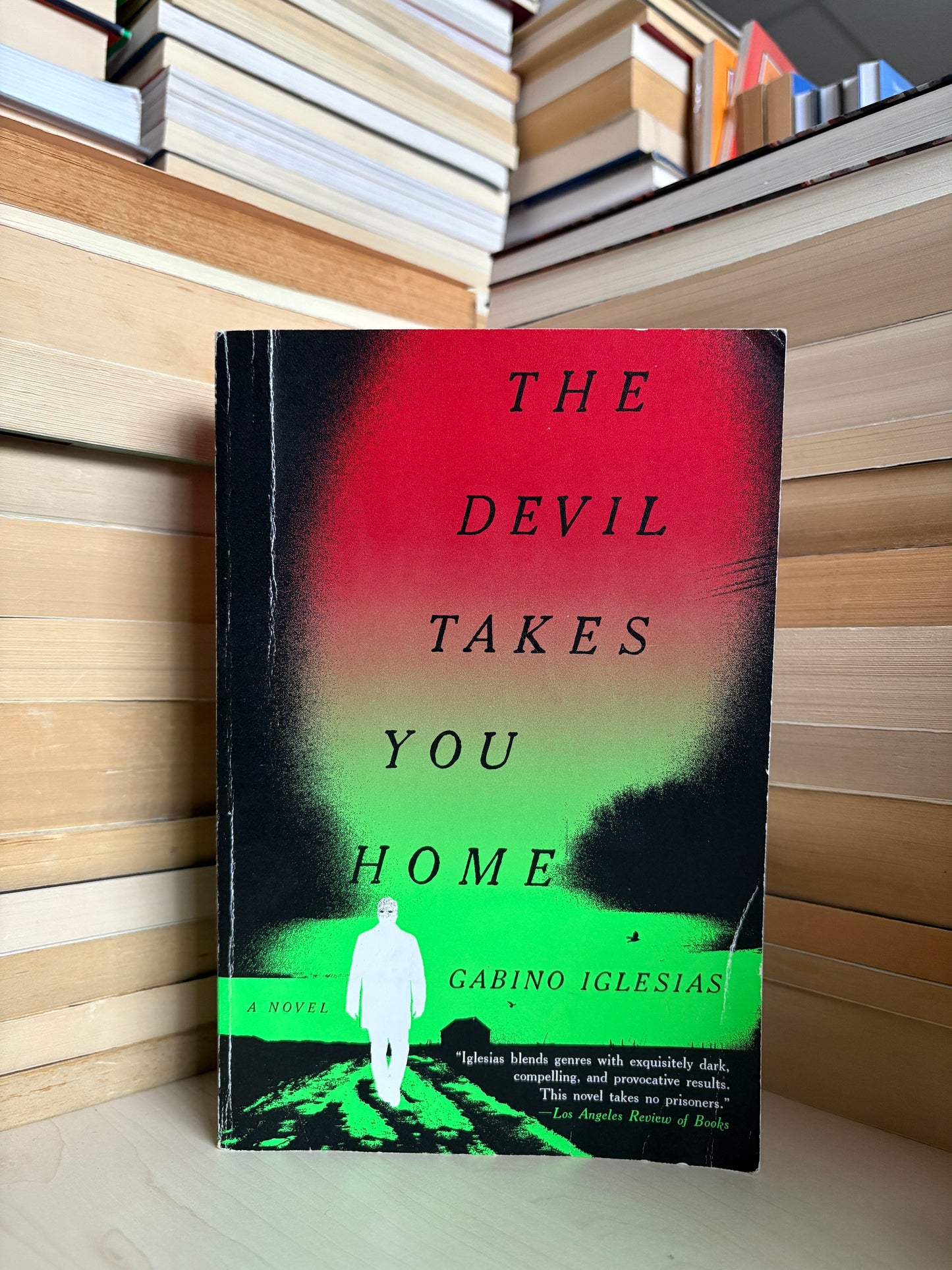 Gabino Iglesias - The Devil Takes You Home