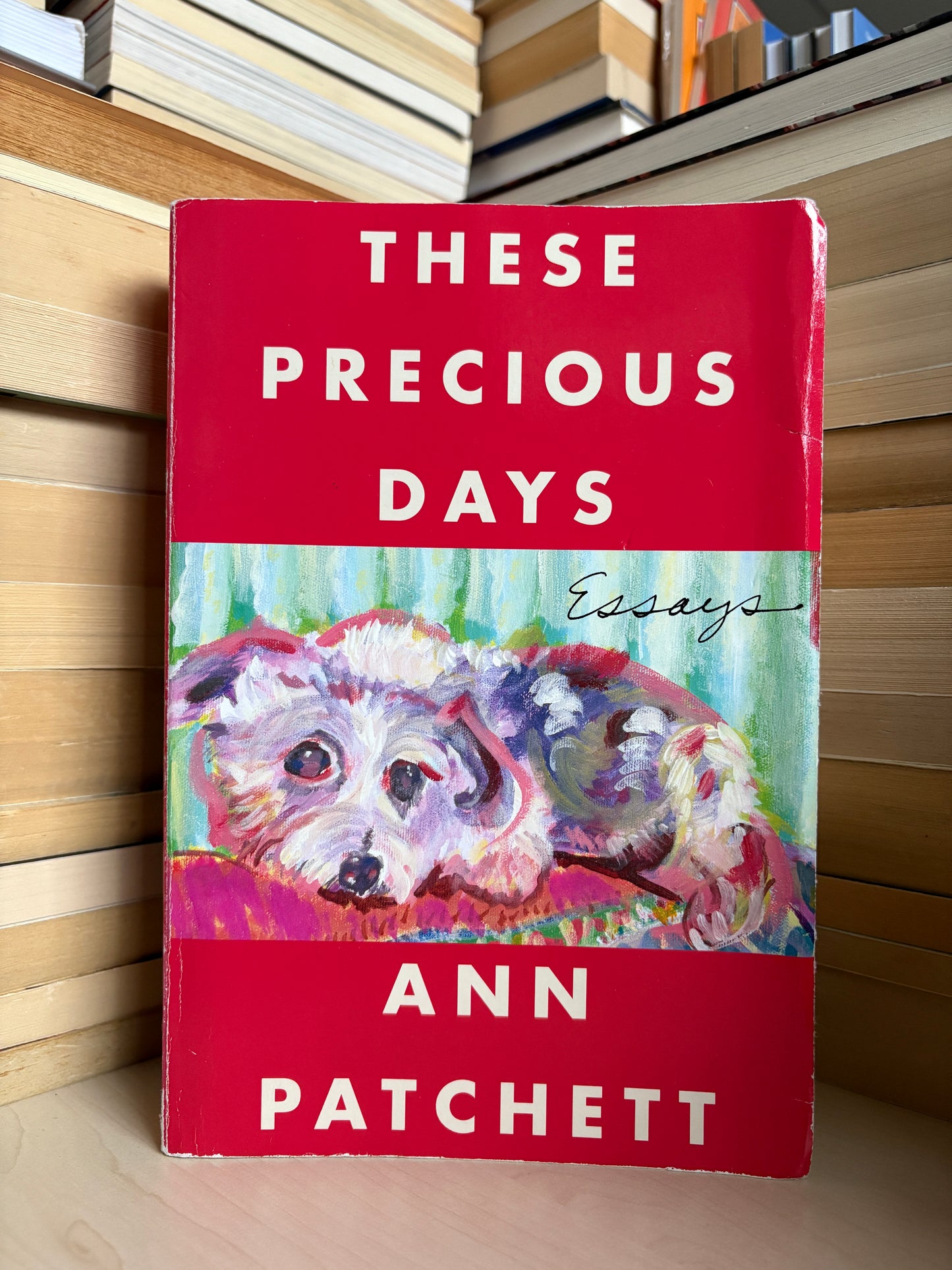 Ann Patchett - These Precious Days