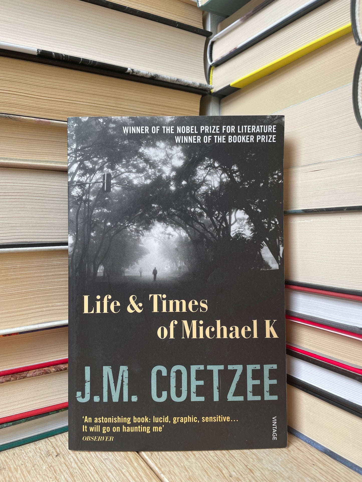 J. M. Coetzee - Life and Times of Michael K