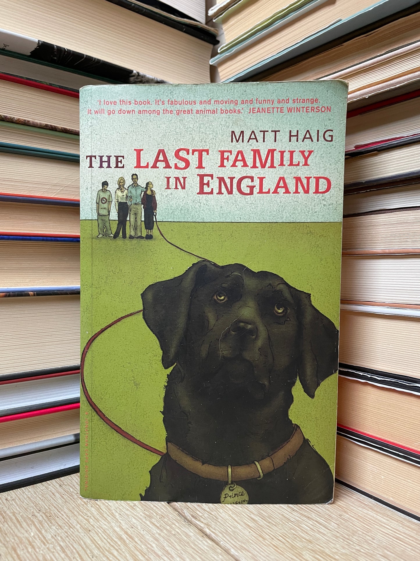 Matt Haig - The Last Family in England