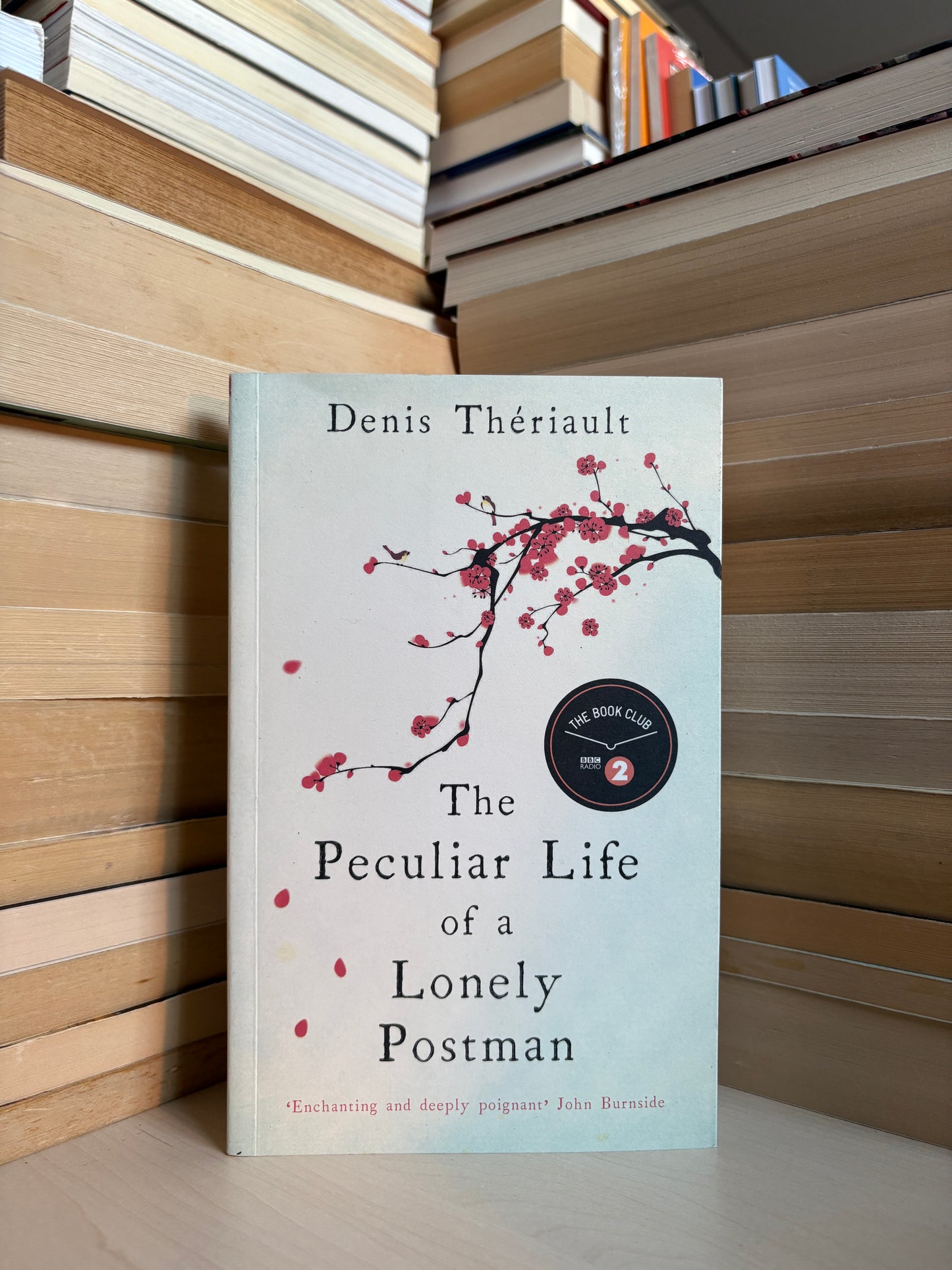 Denis Theriault - The Peculiar Life of a Lonely Postman