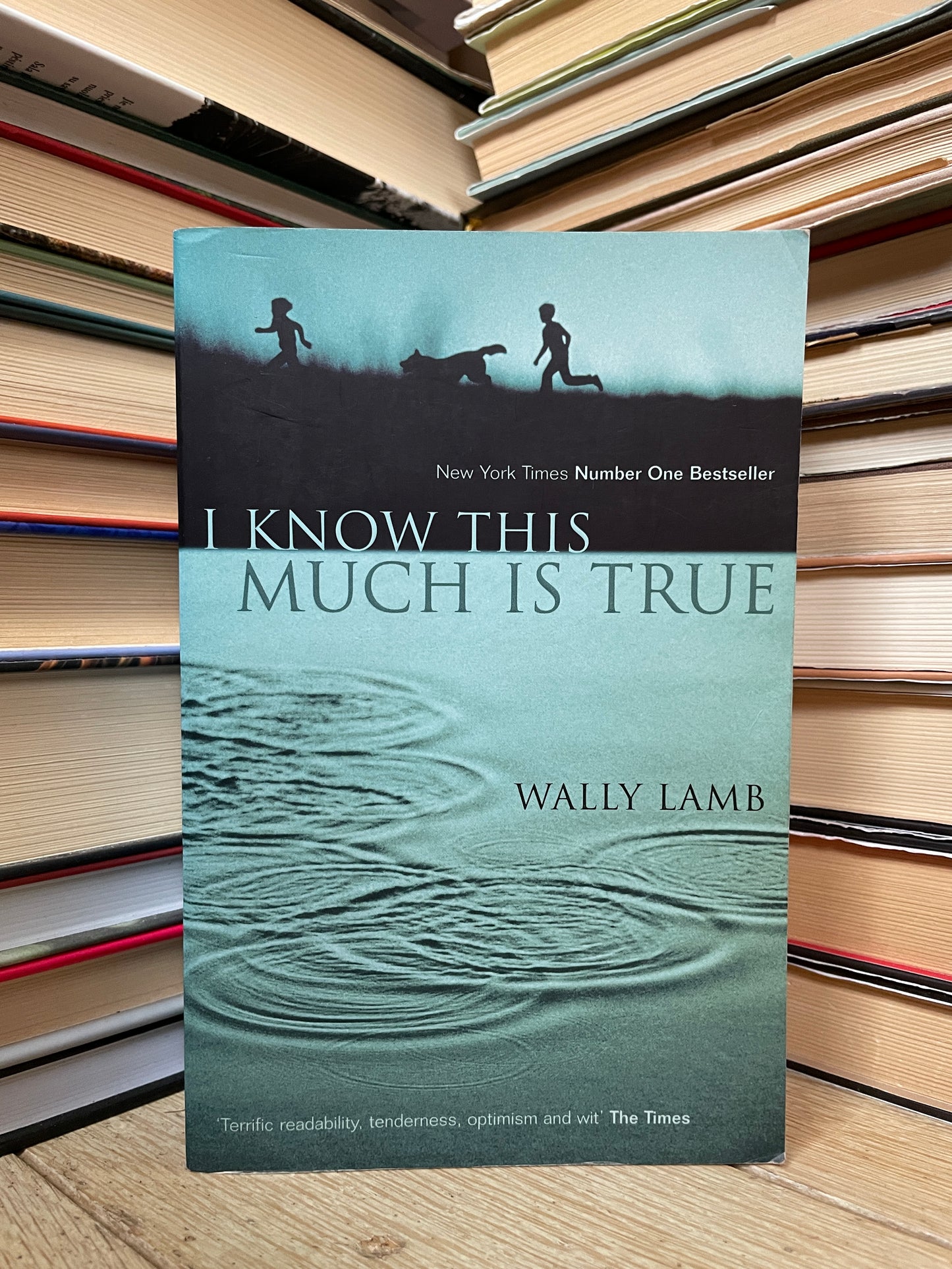 Wally Lamb - I Know This Much is True