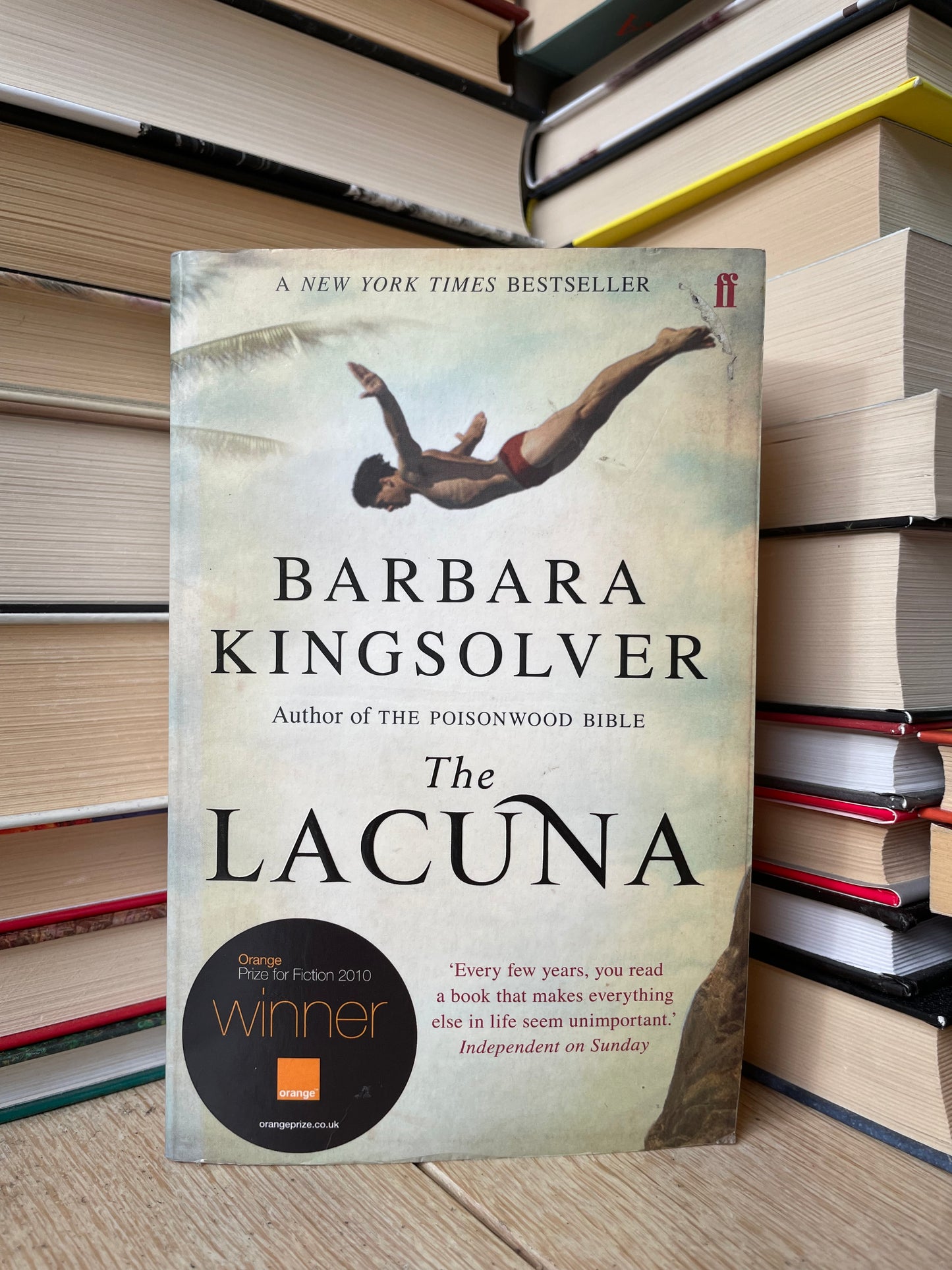 Barbara Kingsolver - The Lacuna