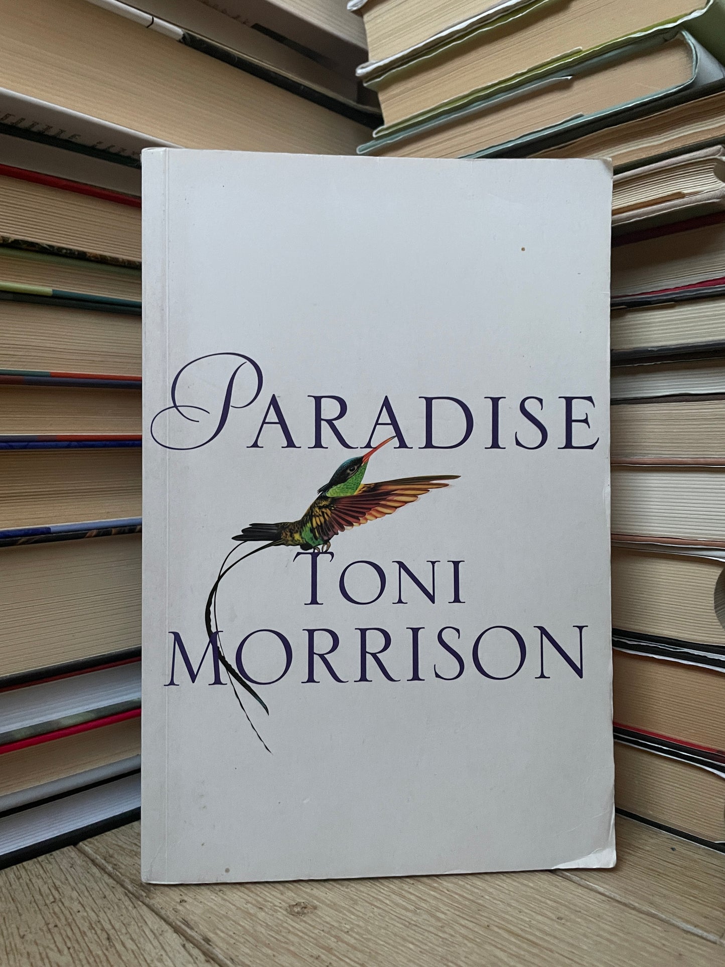 Toni Morrison - Paradise