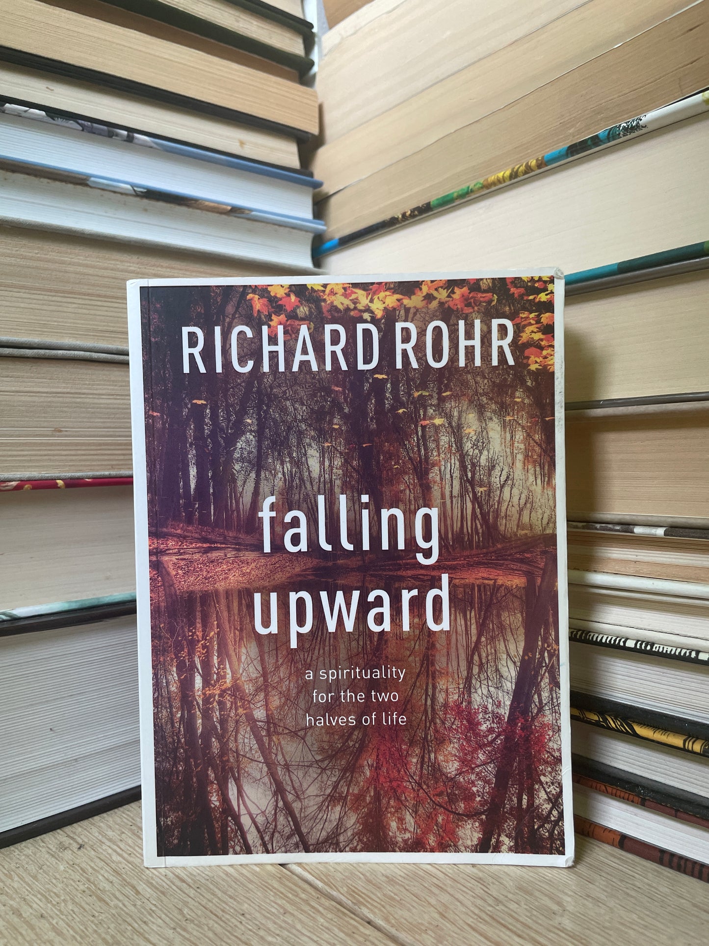 Richard Rohr - Falling Upward