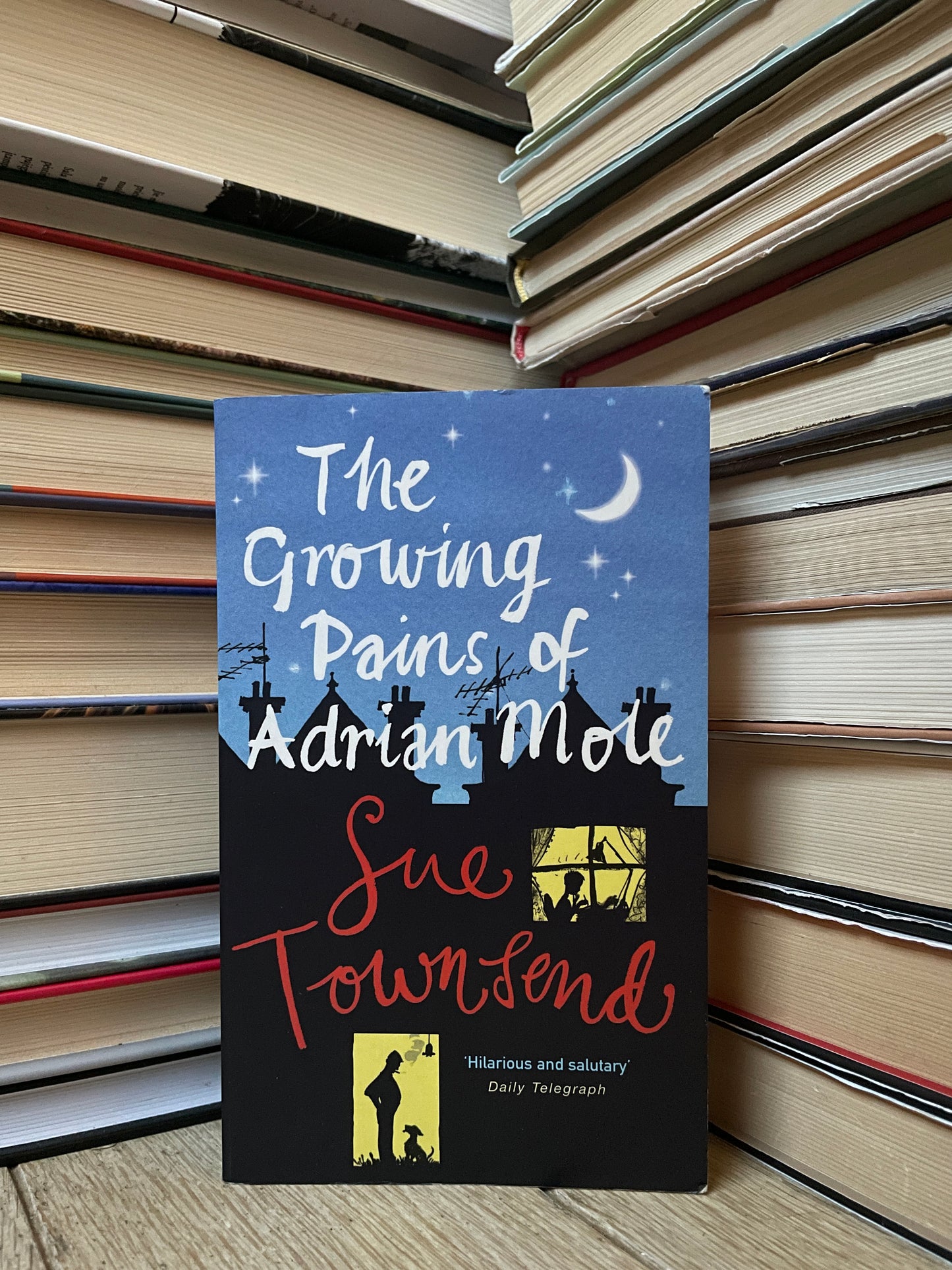 Sue Townsend - The Growing Pains of Adrian Mole