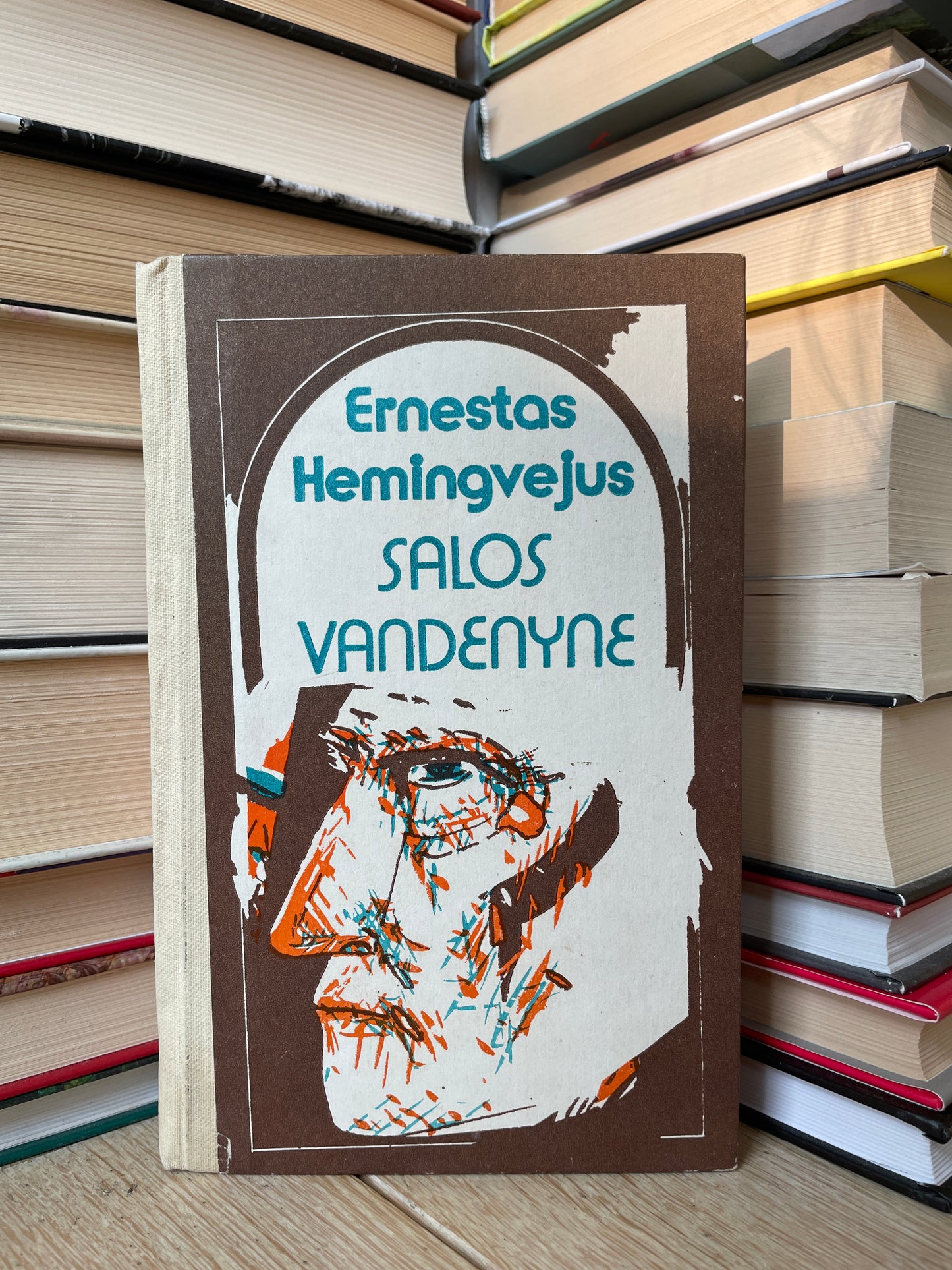 Ernest Hemingway - ,,Salos vandenyne"