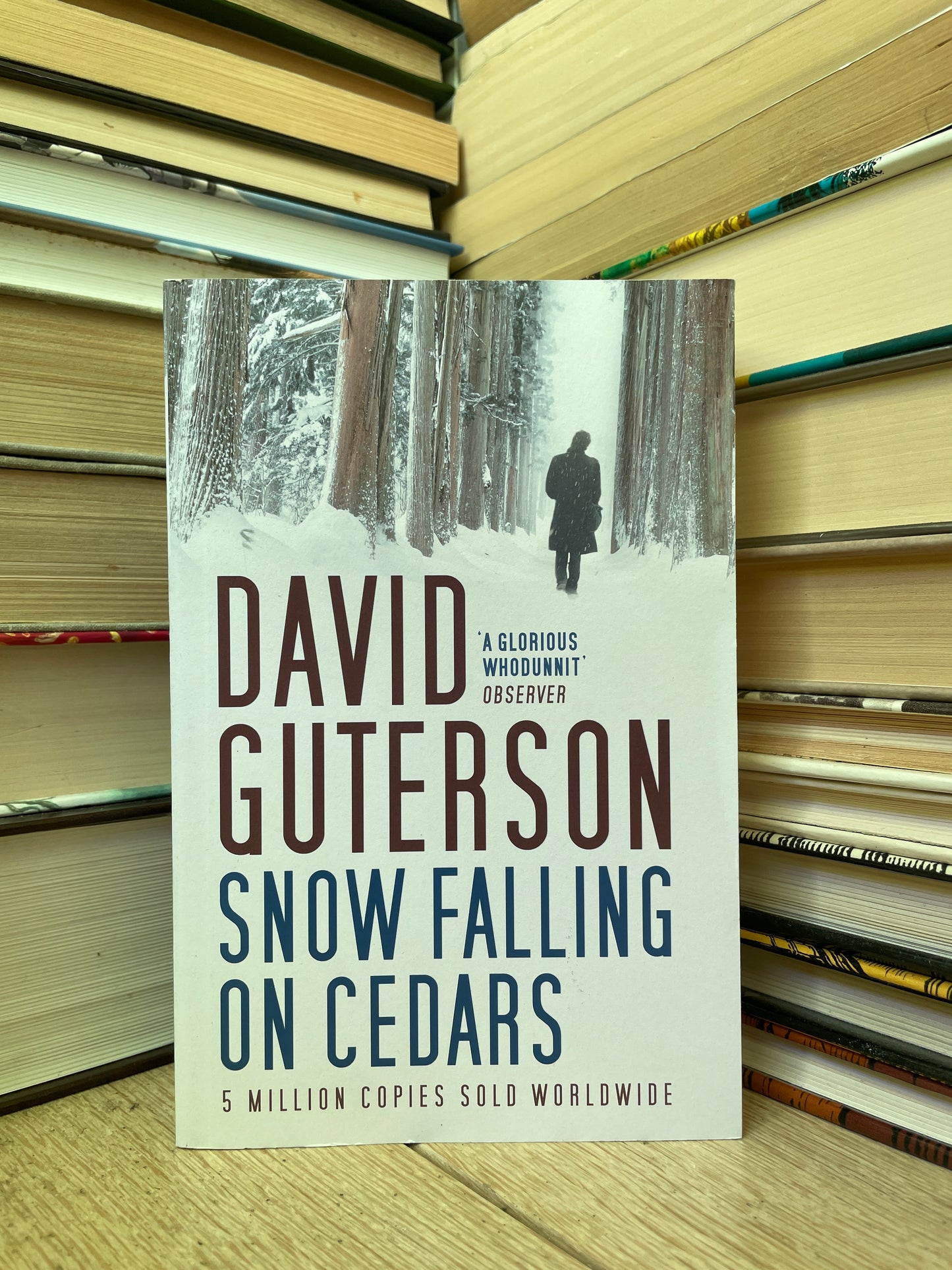 David Guterson - Snow Falling on Cedars