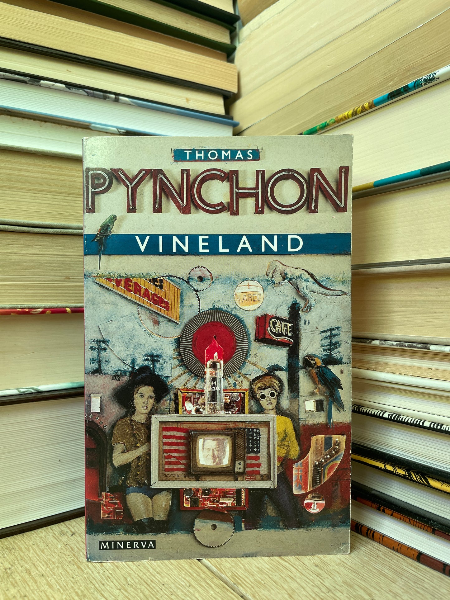 Thomas Pynchon - Vineland