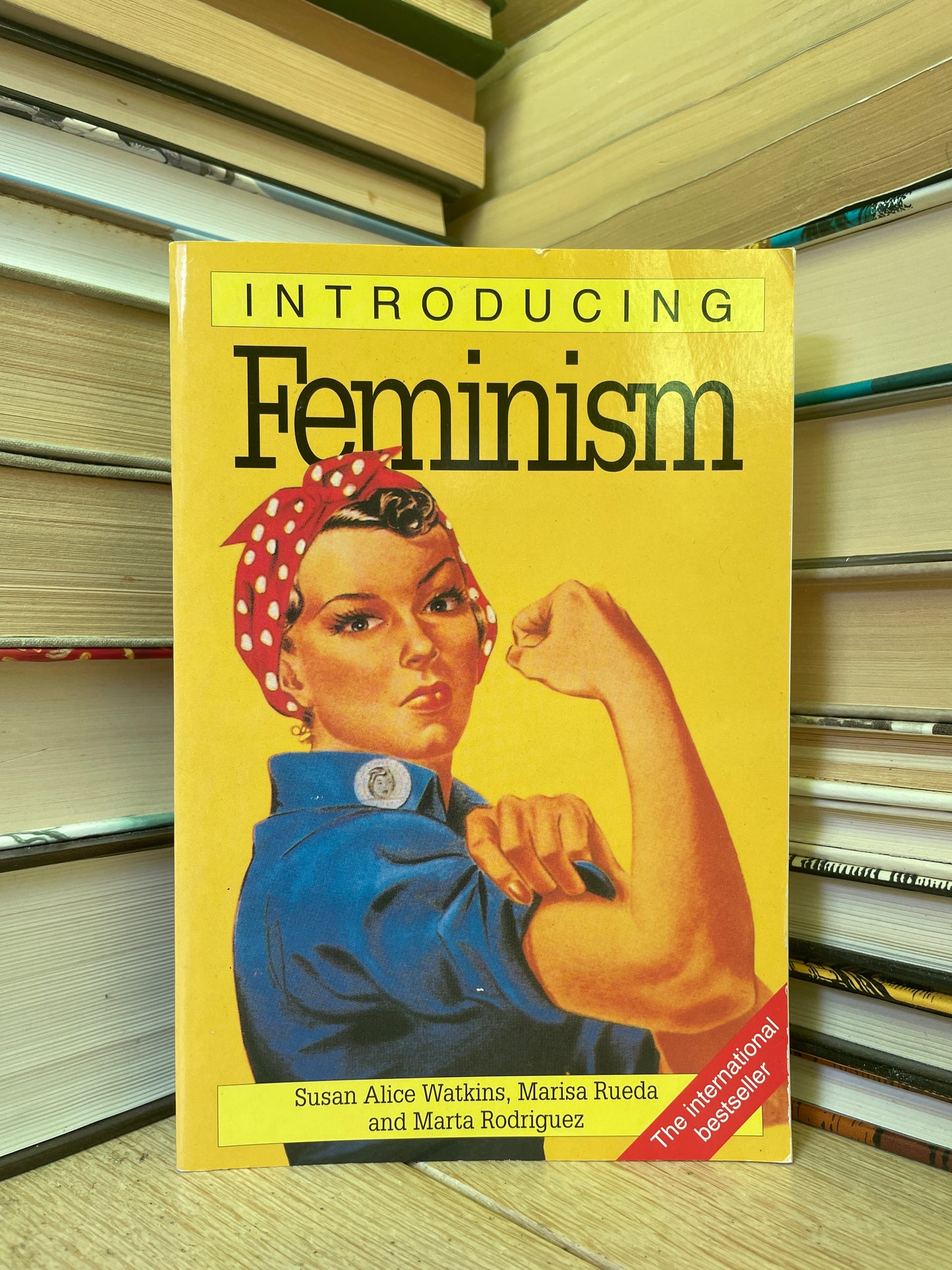 Susan Alice Watkins - Introducing Feminism