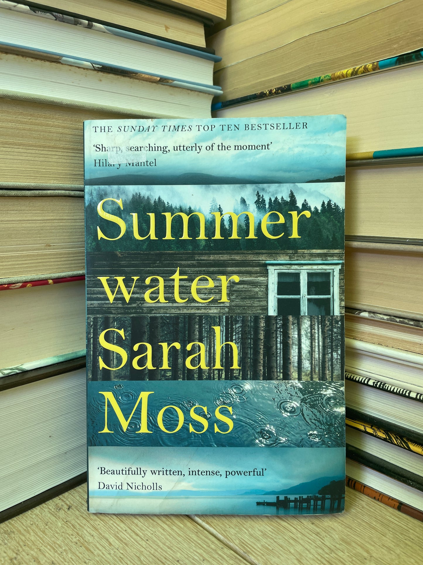 Sarah Moss - Summer Water