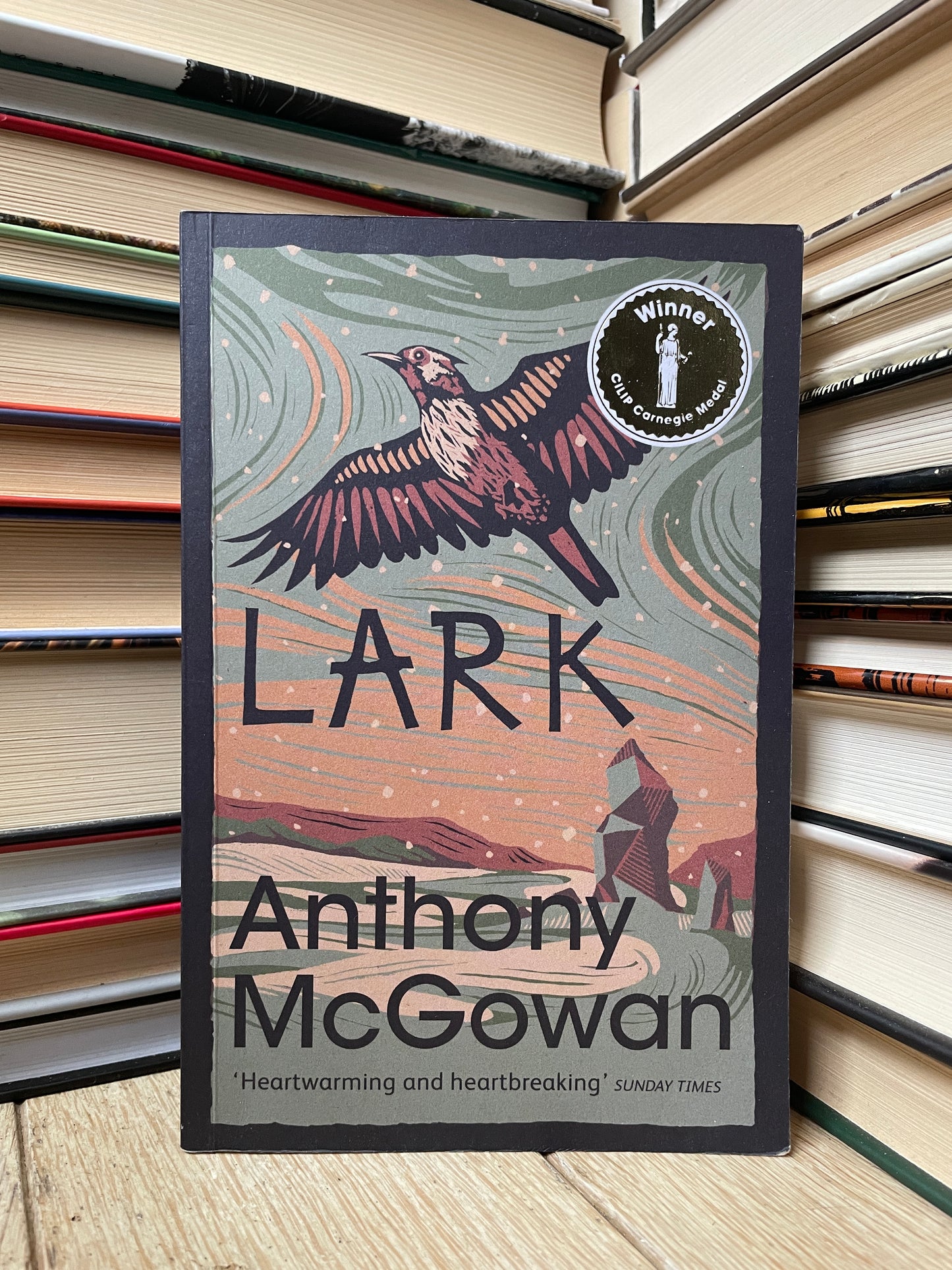 Anthony McGowan - Lark