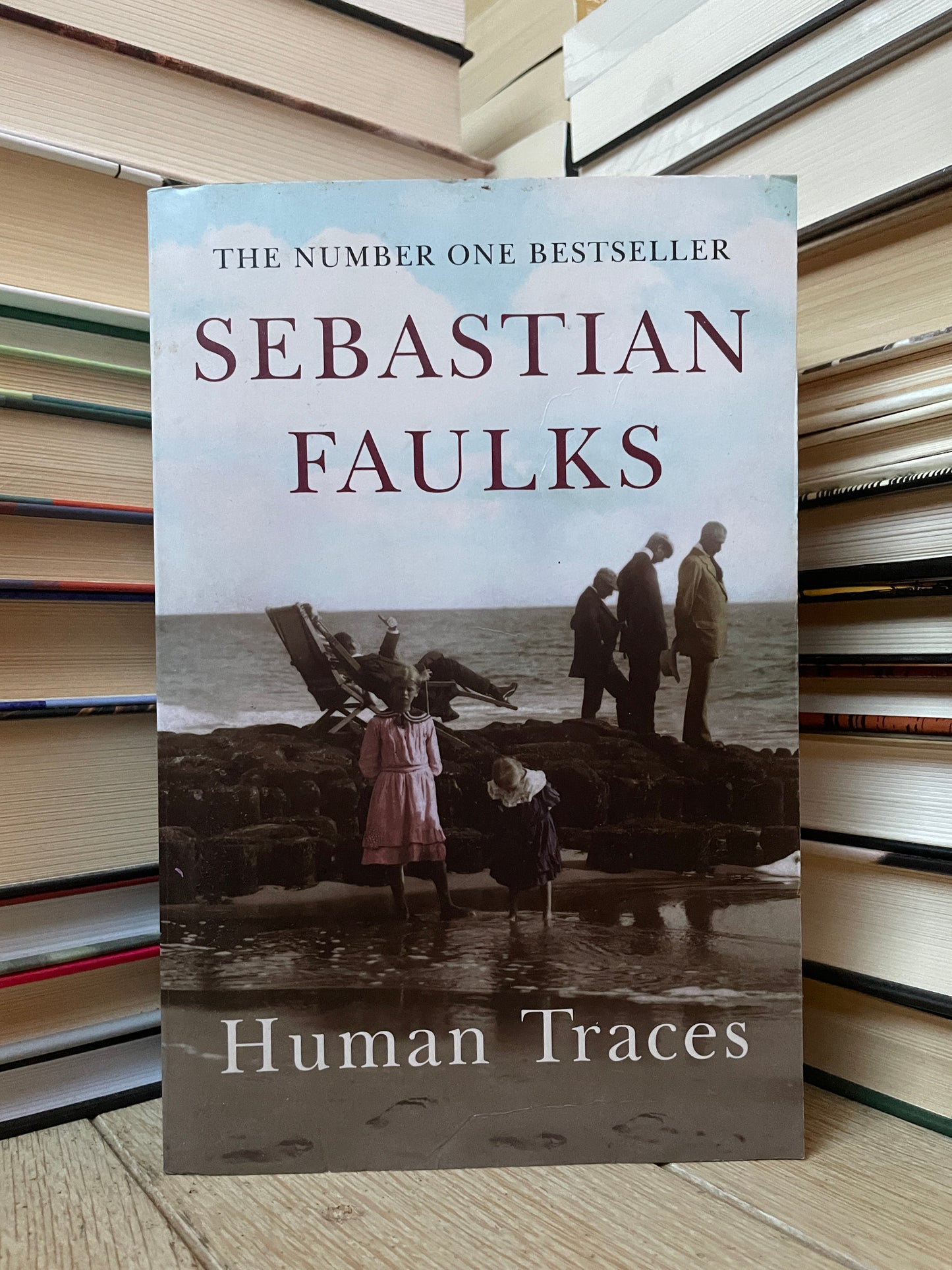 Sebastian Faulks - Human Traces